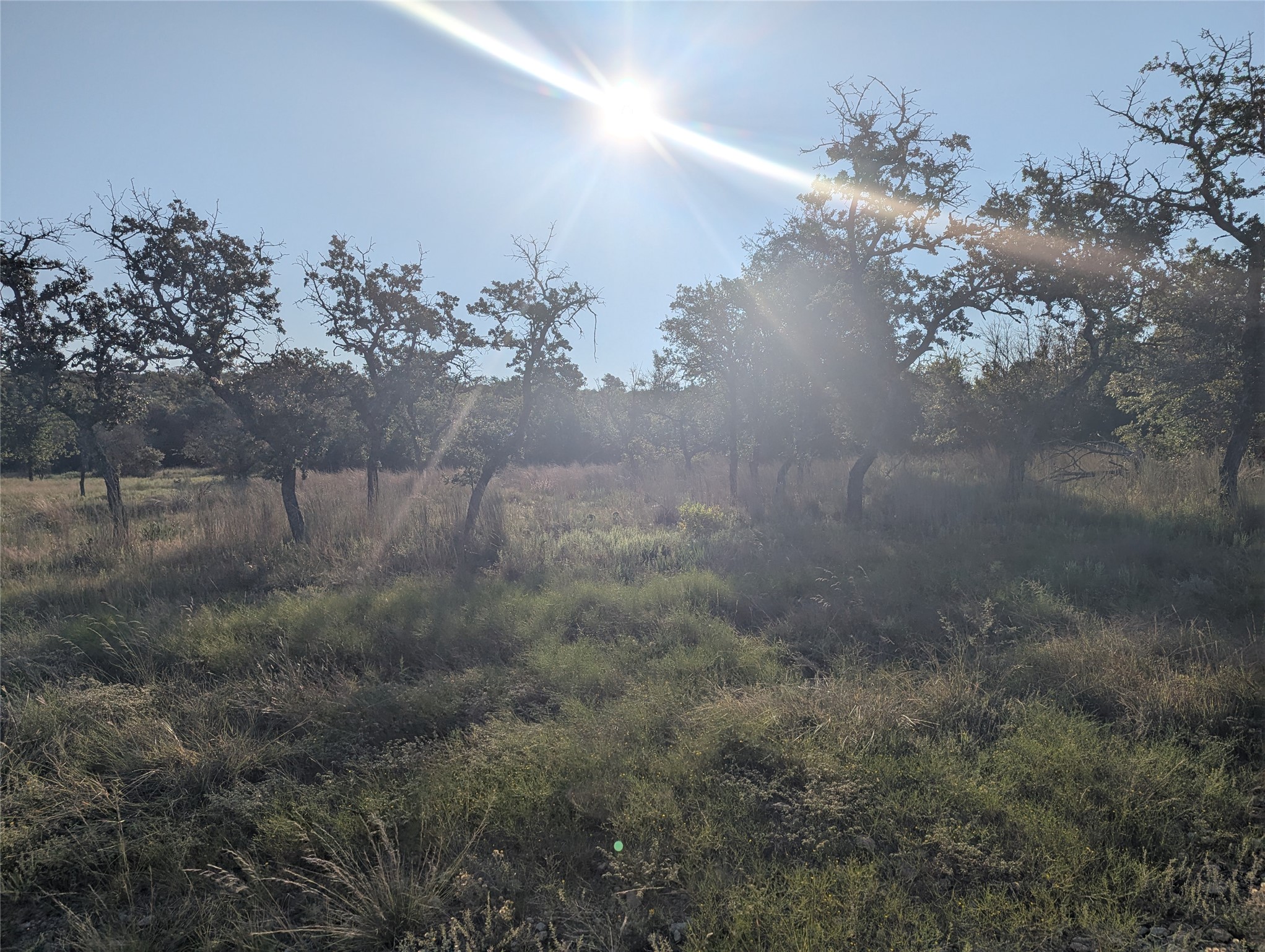 Tract 26 CR 633, Indian Gap, TX, 76531