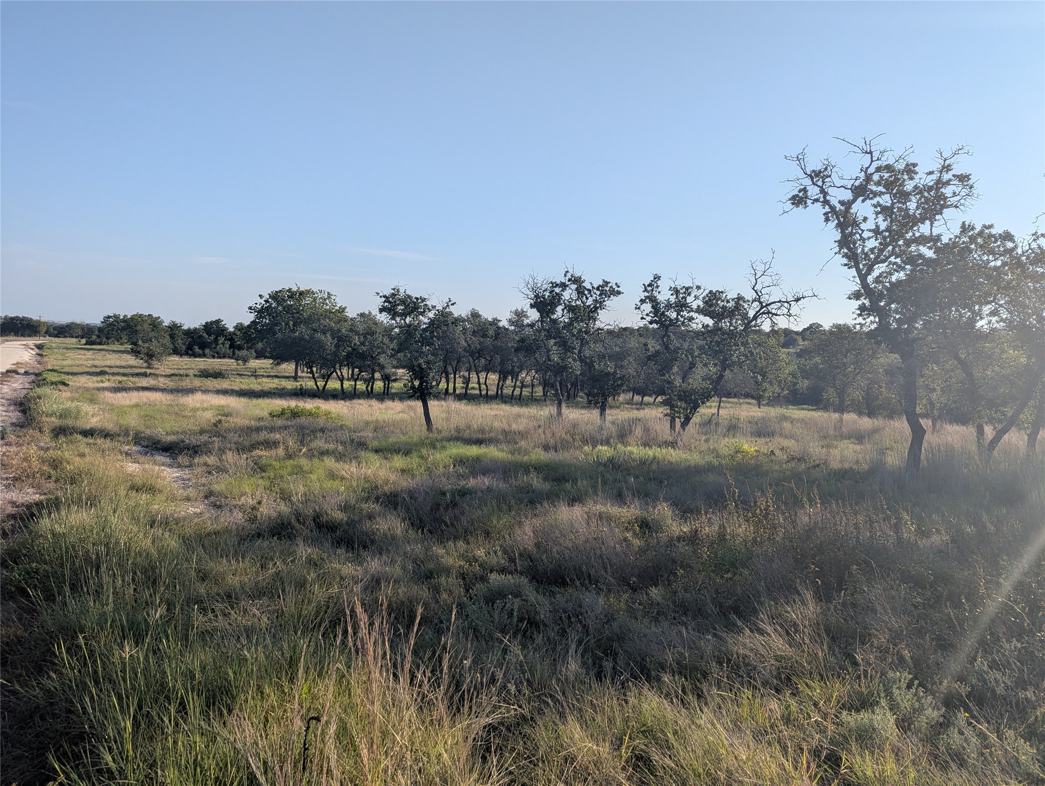 Tract 26 CR 633, Indian Gap, TX, 76531