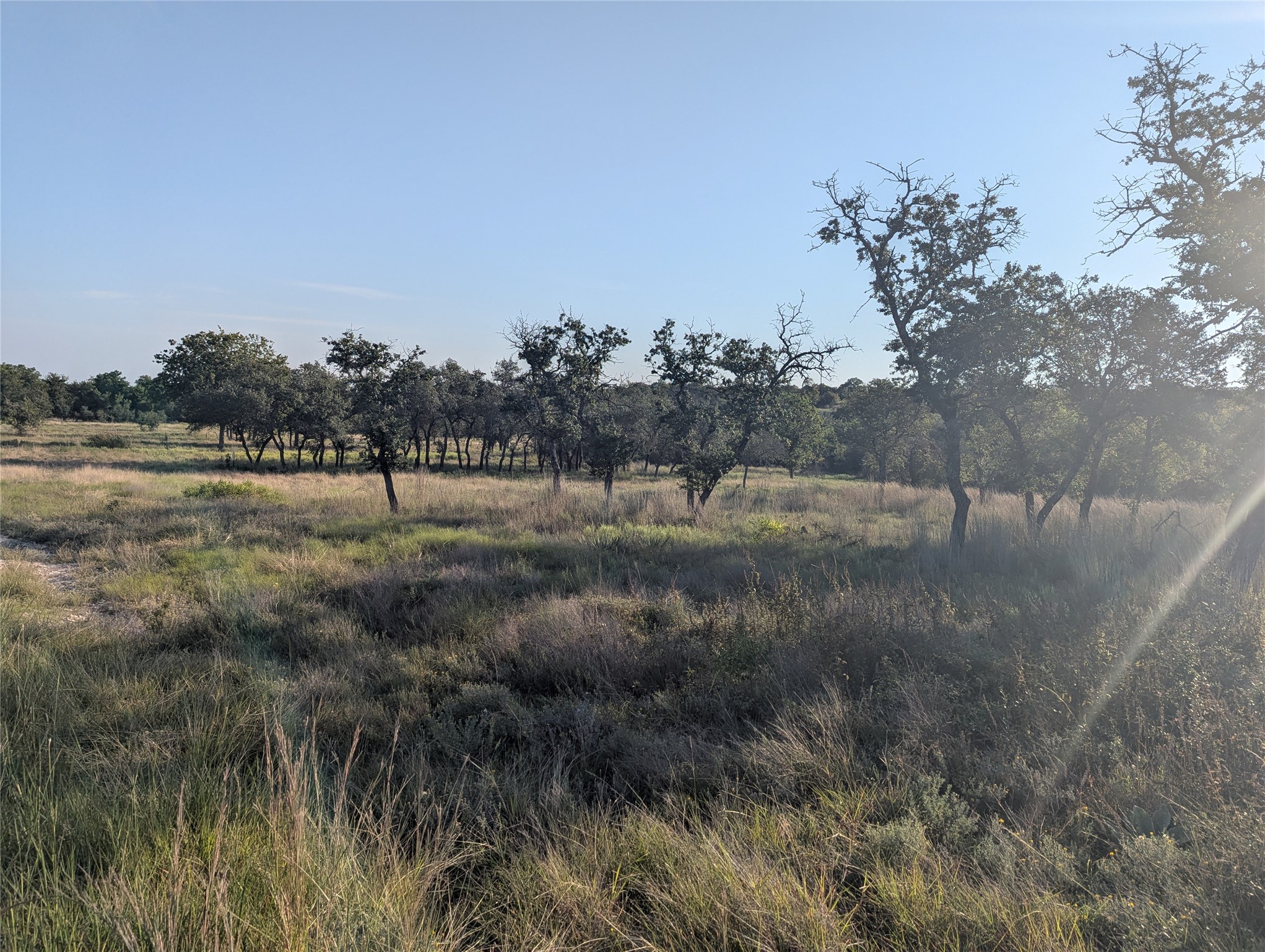 Tract 26 CR 633, Indian Gap, TX, 76531