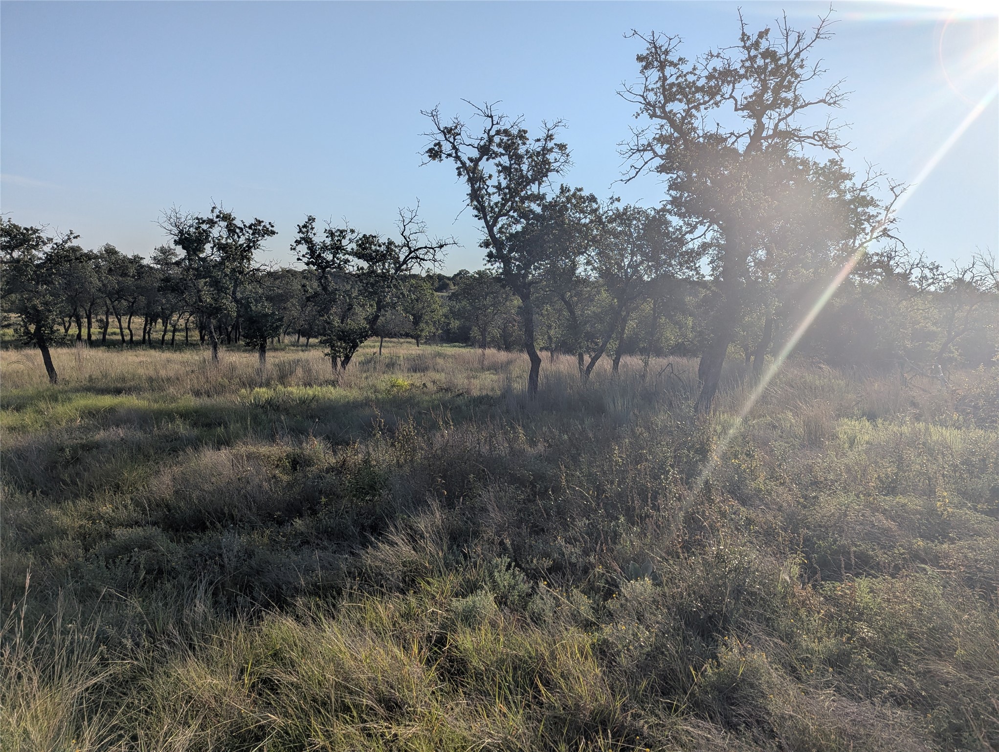 Tract 26 CR 633, Indian Gap, TX, 76531
