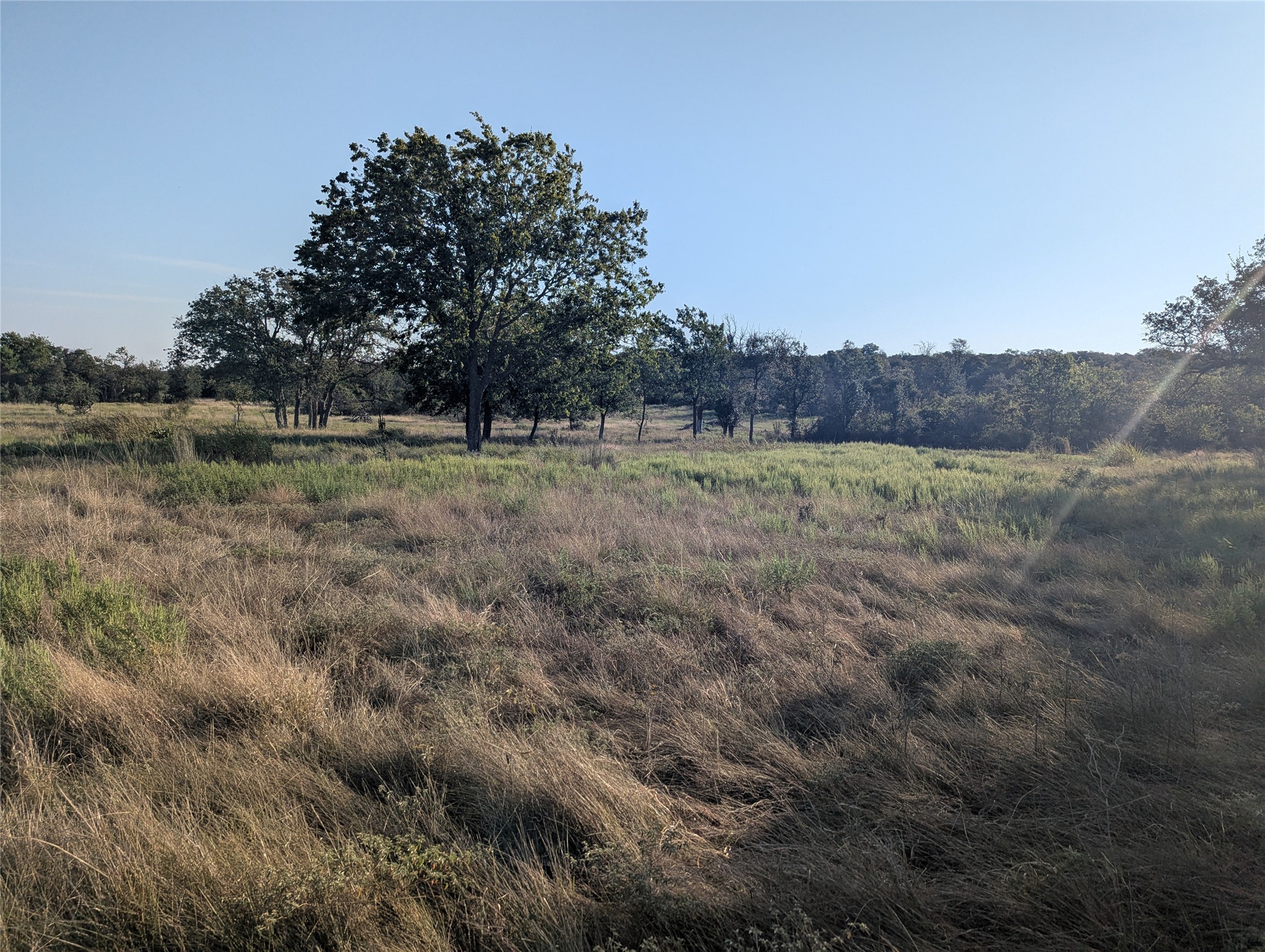 Tract 26 CR 633, Indian Gap, TX, 76531