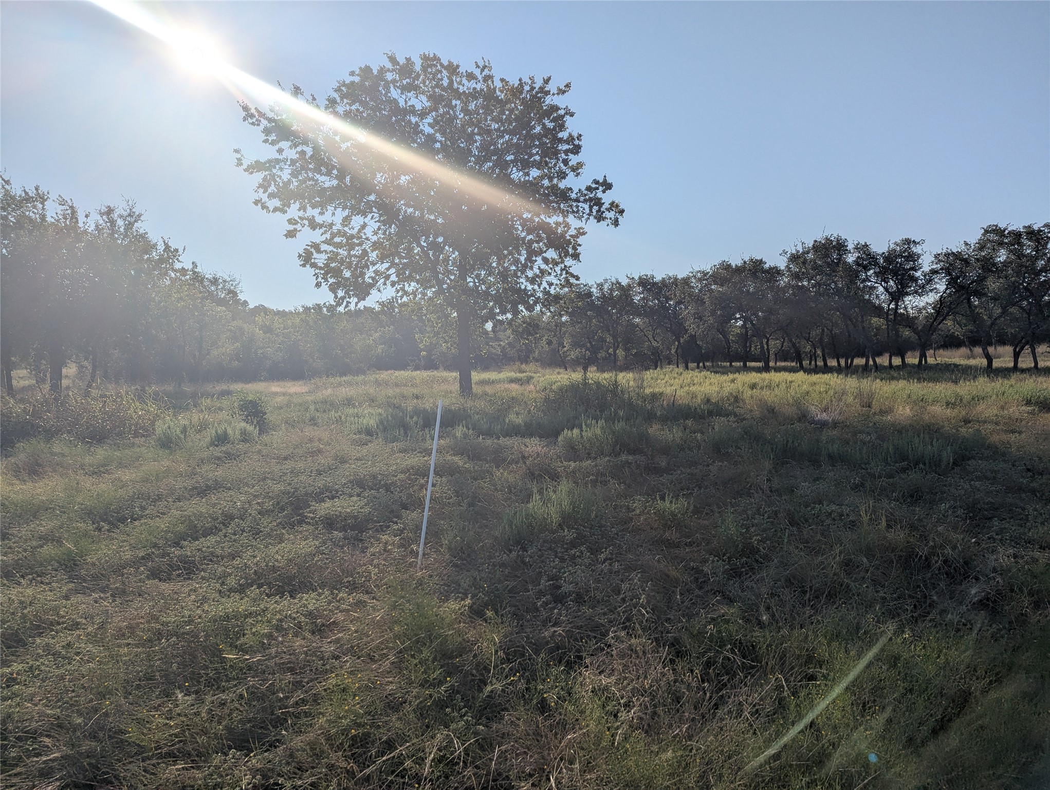 Tract 26 CR 633, Indian Gap, TX, 76531