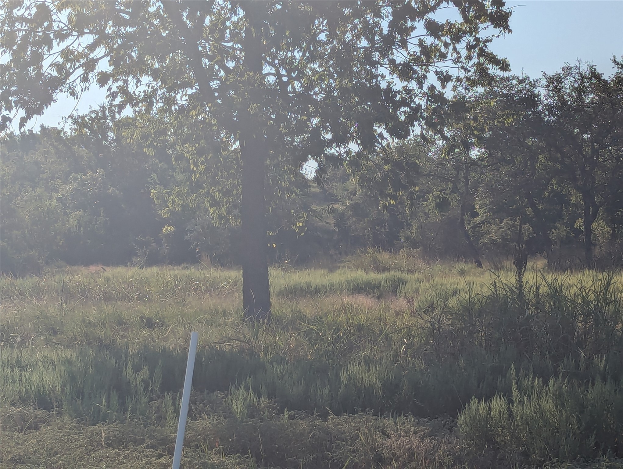 Tract 26 CR 633, Indian Gap, TX, 76531