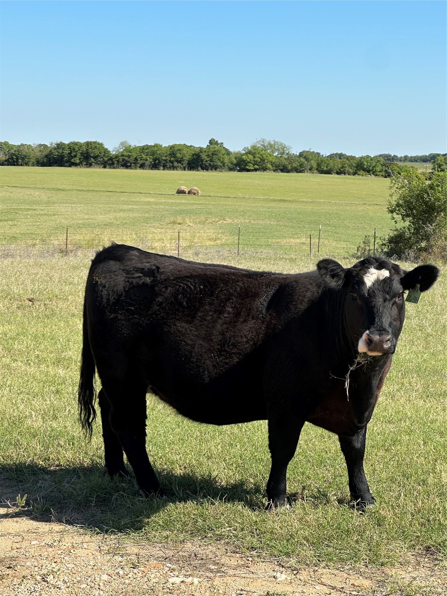 TBD Hwy 2247, Comanche, TX, 76442