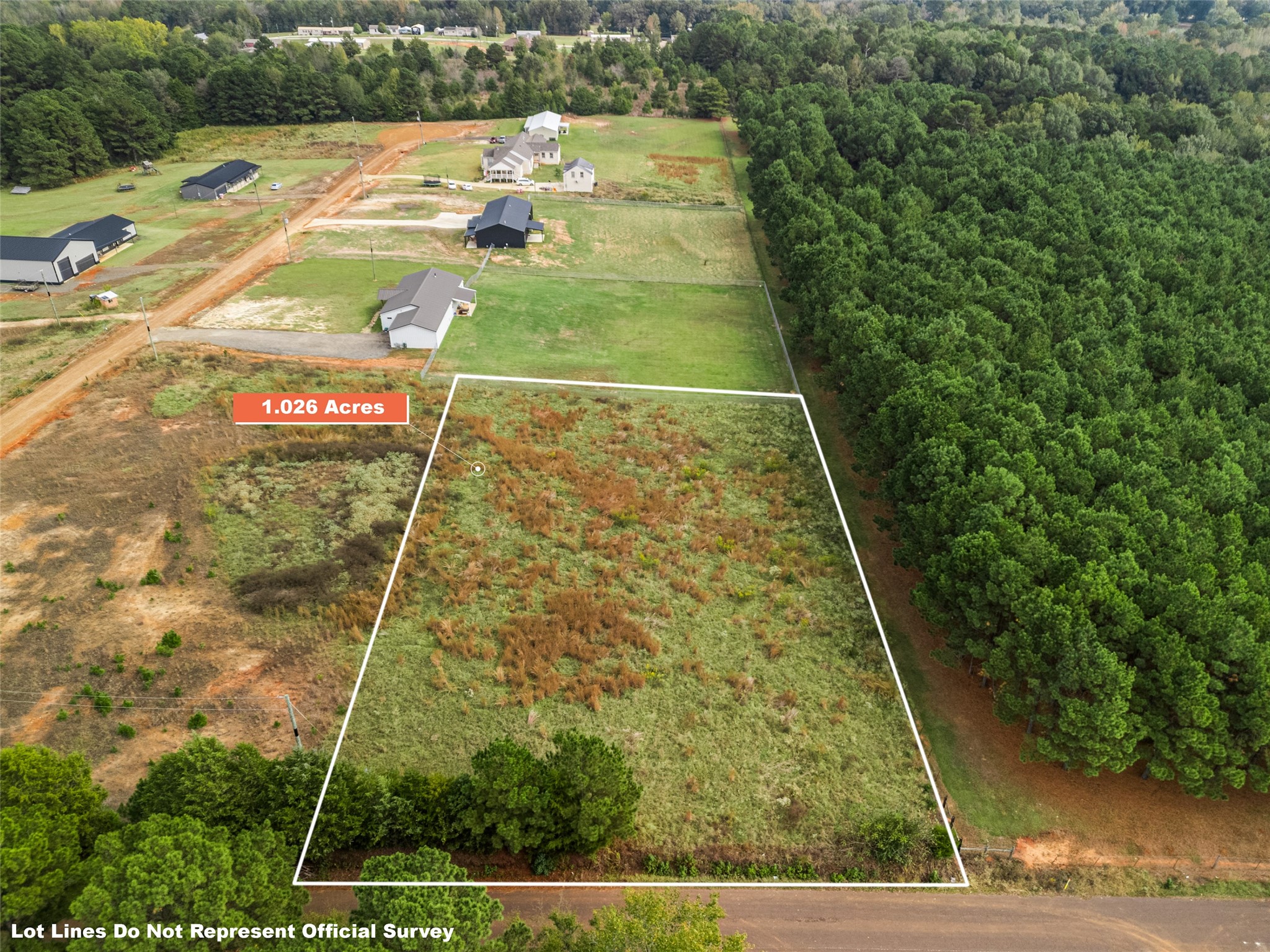 2685 Hawk Road, Diana, TX, 75640