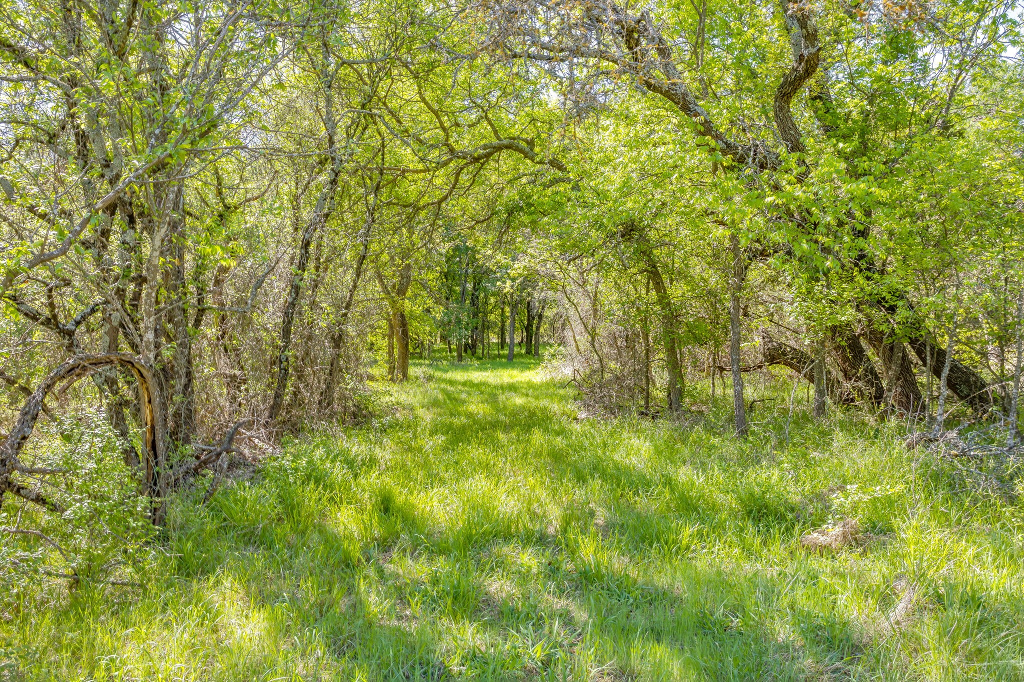 TBD Teague Road, Jacksboro, TX, 76458