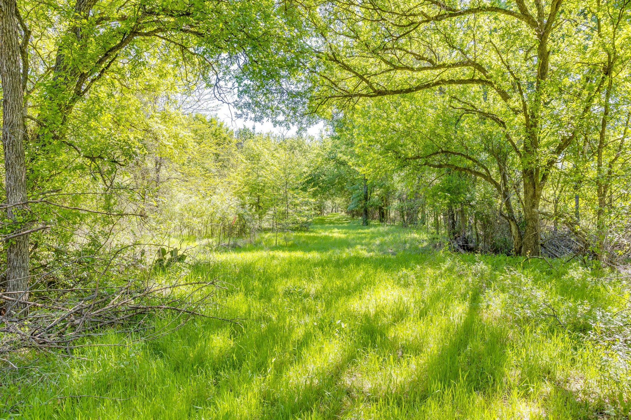 TBD Teague Road, Jacksboro, TX, 76458