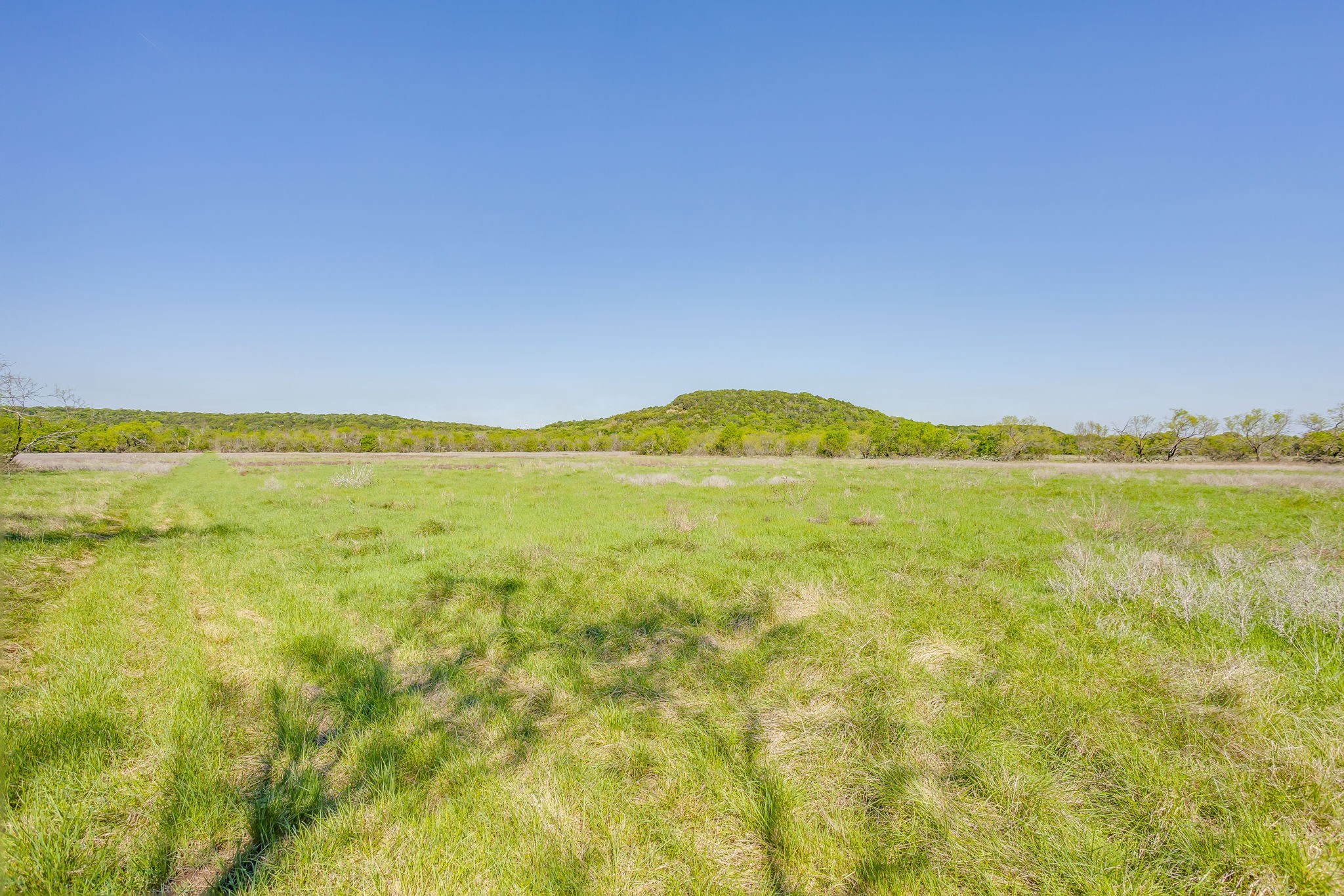 TBD Teague Road, Jacksboro, TX, 76458