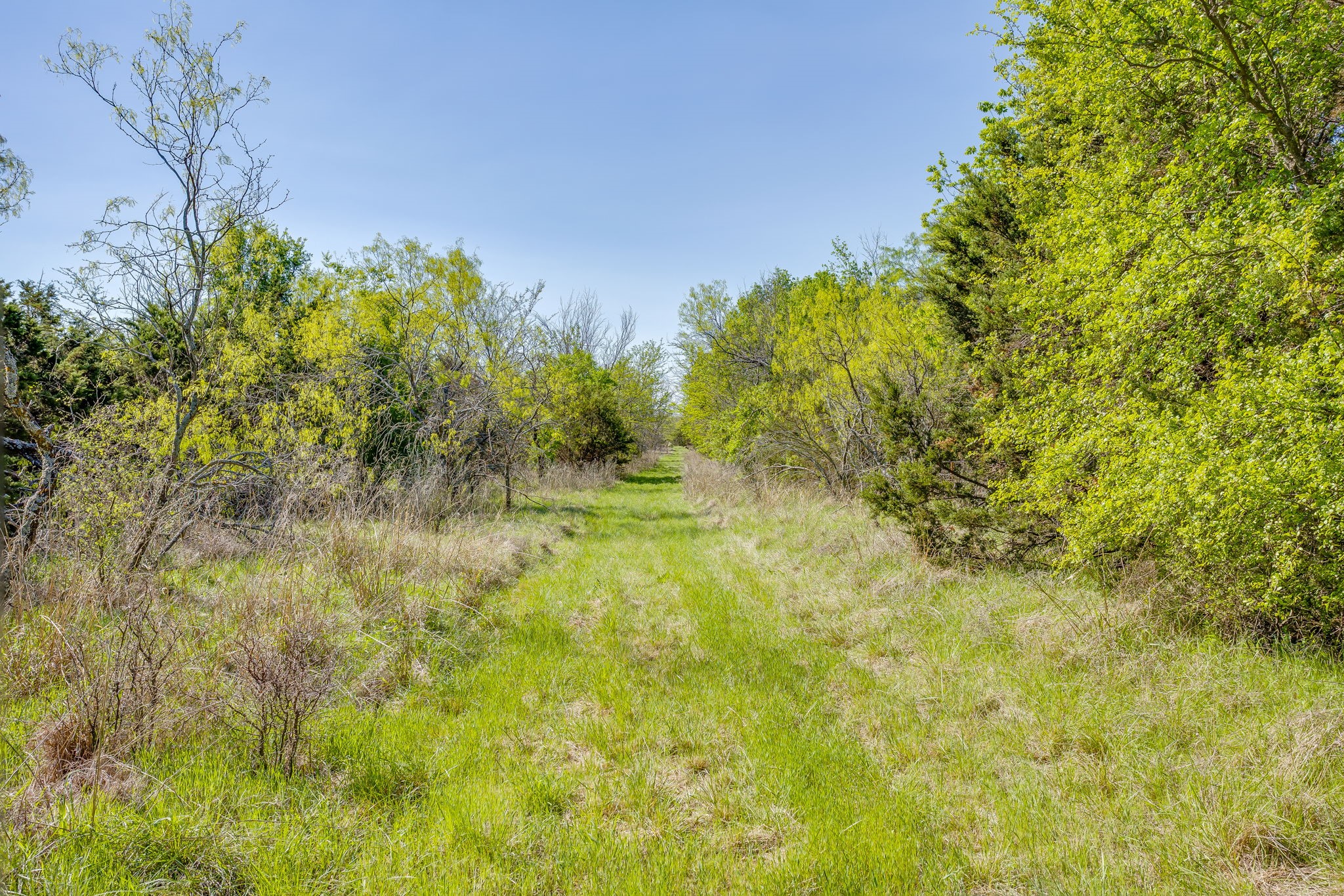 TBD Teague Road, Jacksboro, TX, 76458