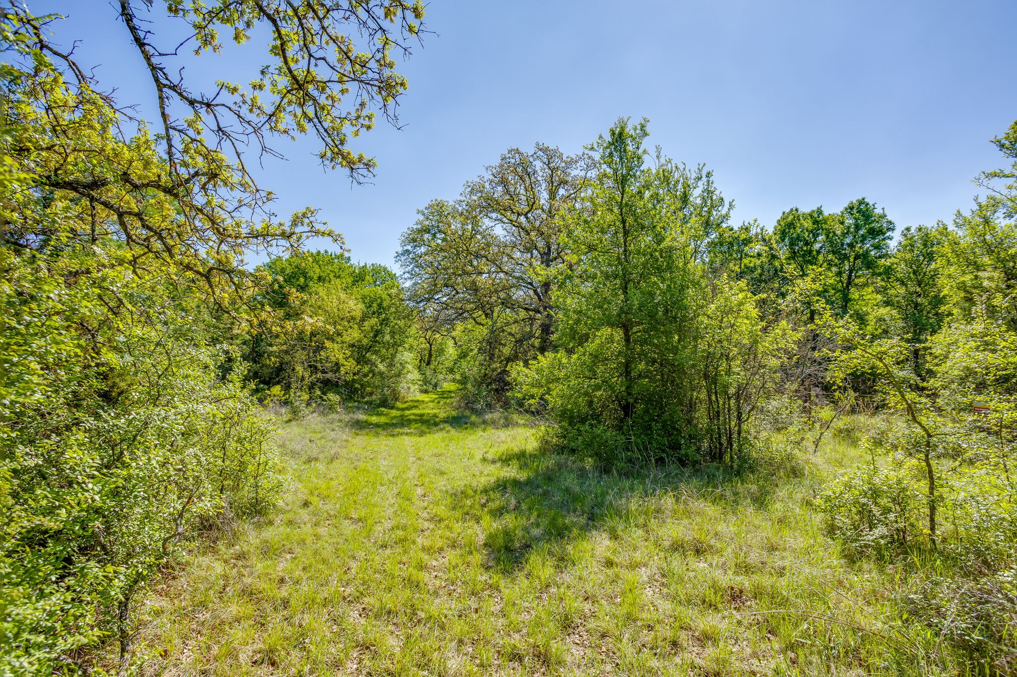 TBD Teague Road, Jacksboro, TX, 76458