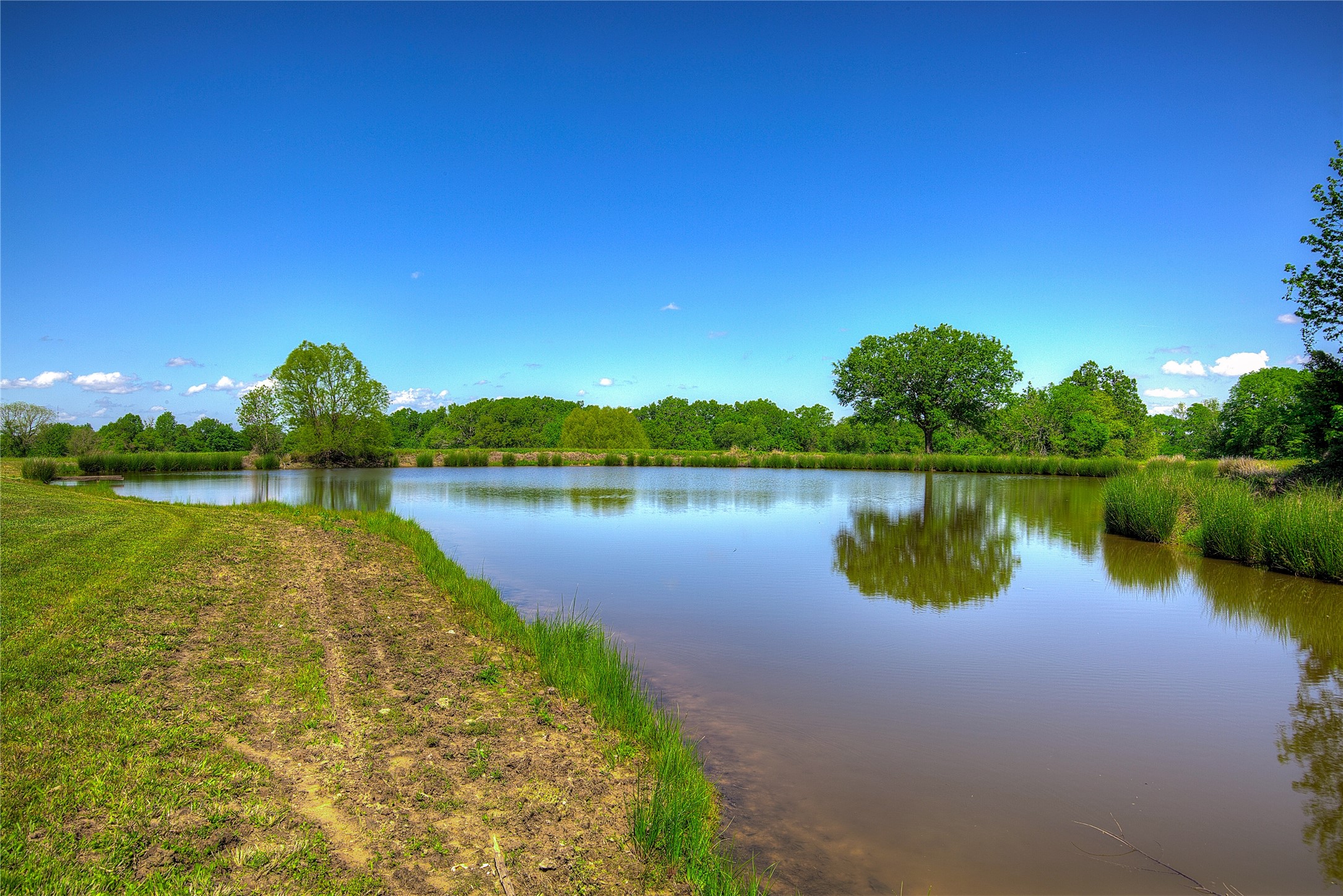 690 County Road 3020, Mount Vernon, TX, 75457