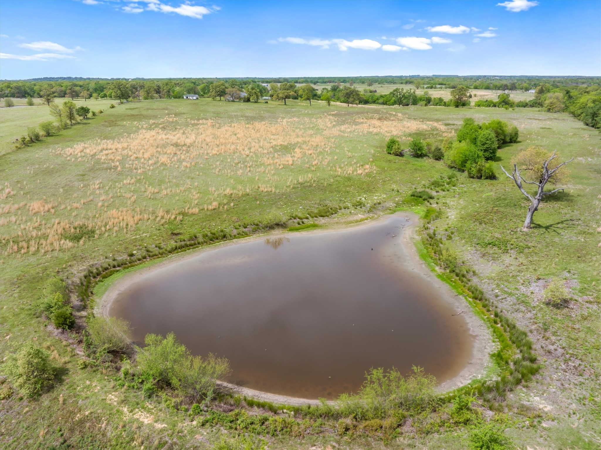 1421 Vz County Road 2319, Canton, TX, 75103