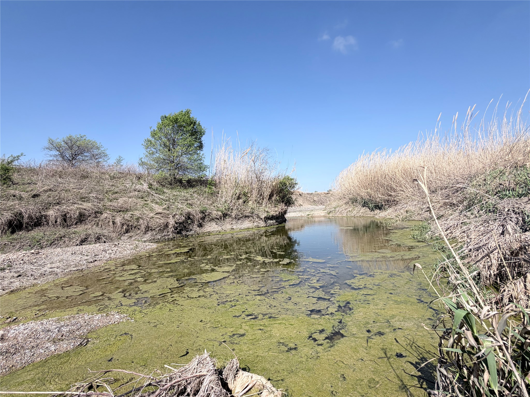 TBD County Road 3204, Abbott, TX, 76621