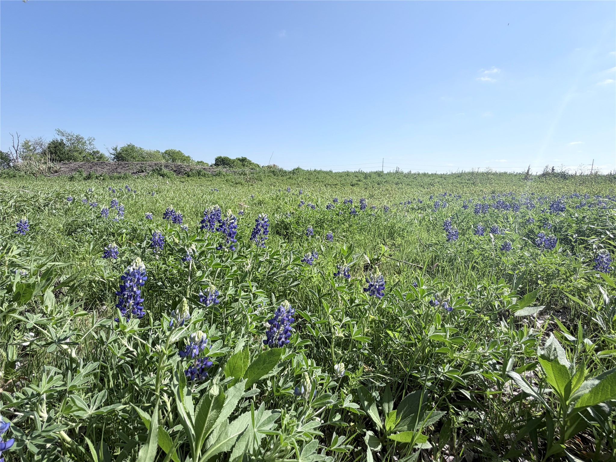 TBD County Road 3204, Abbott, TX, 76621