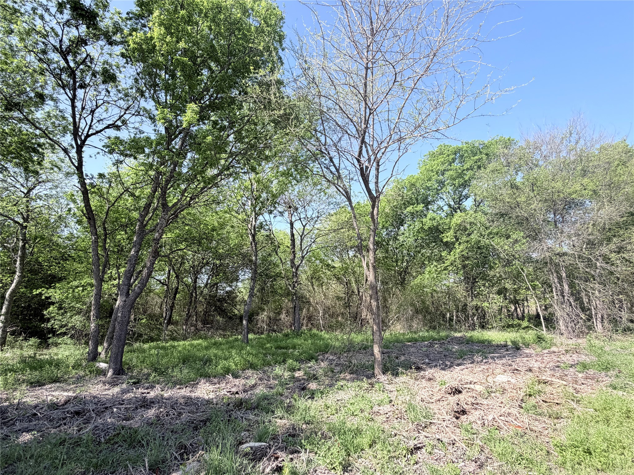 TBD County Road 3204, Abbott, TX, 76621