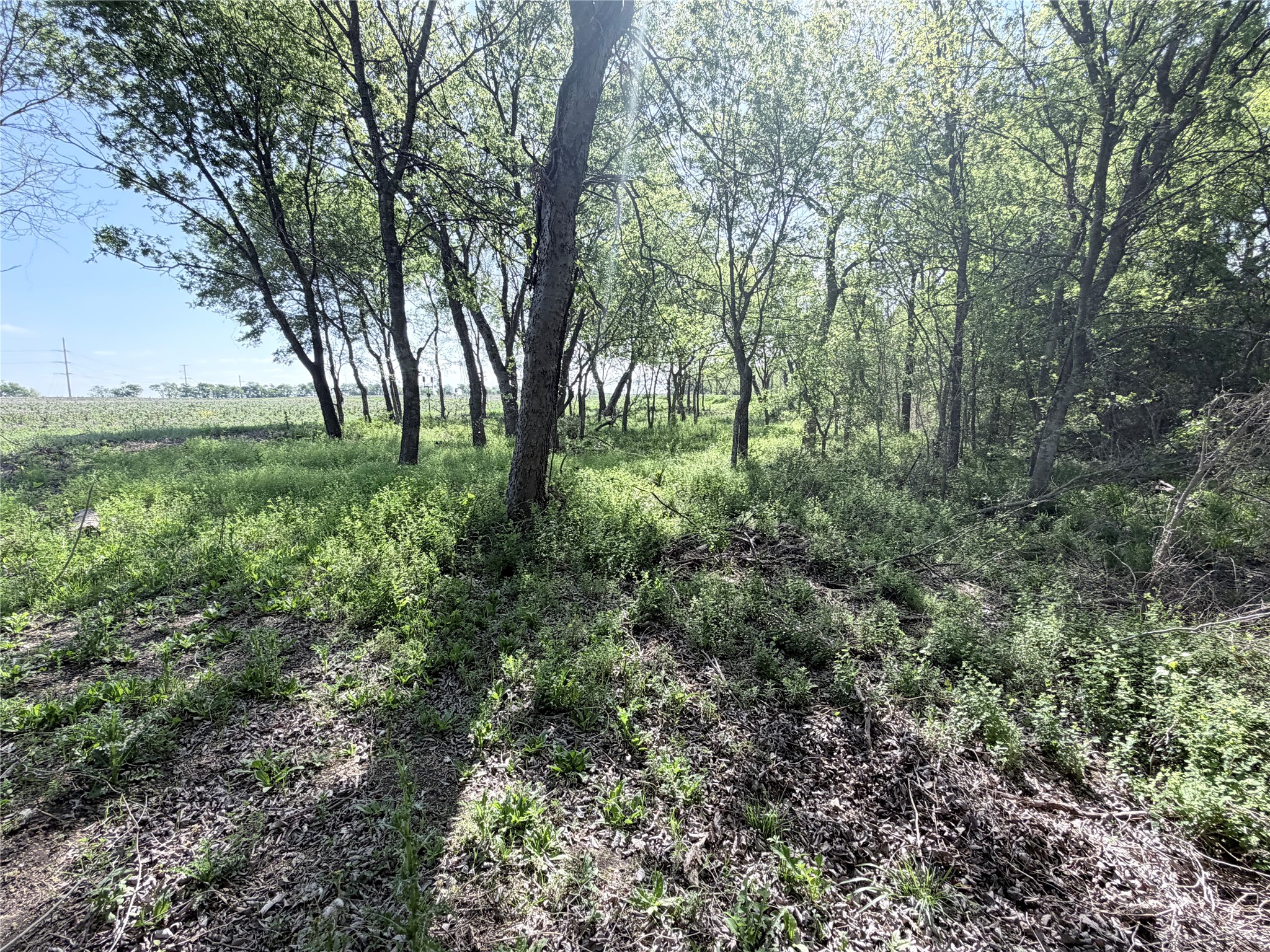 TBD County Road 3204, Abbott, TX, 76621
