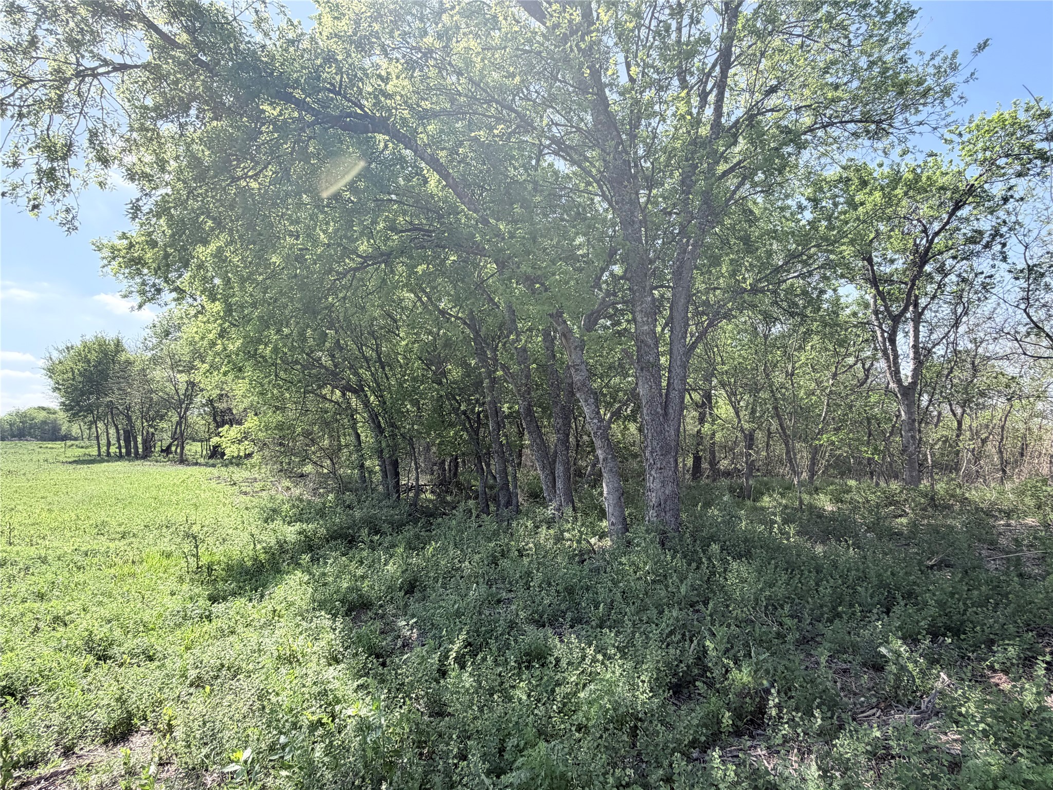 TBD County Road 3204, Abbott, TX, 76621