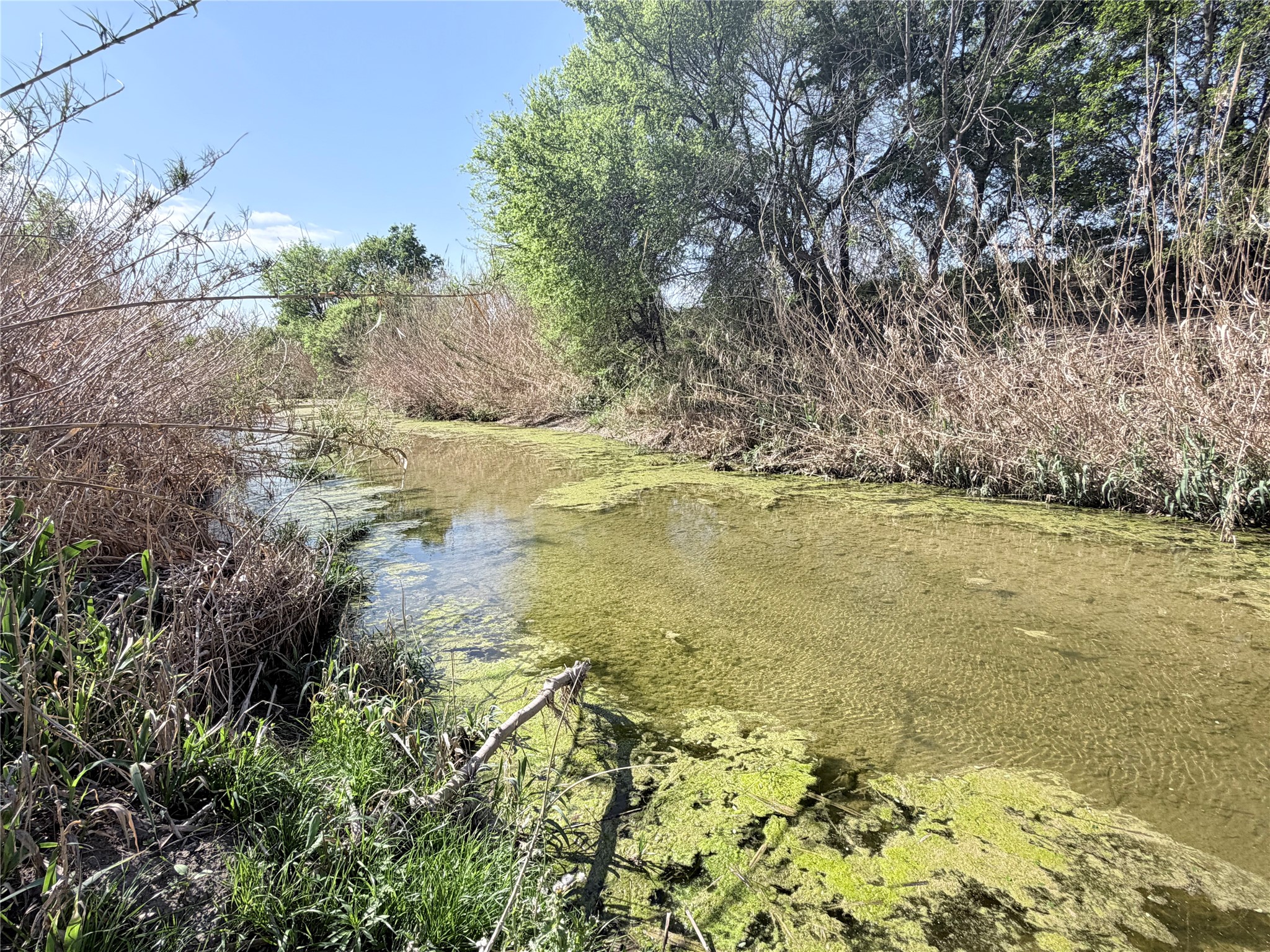TBD County Road 3204, Abbott, TX, 76621