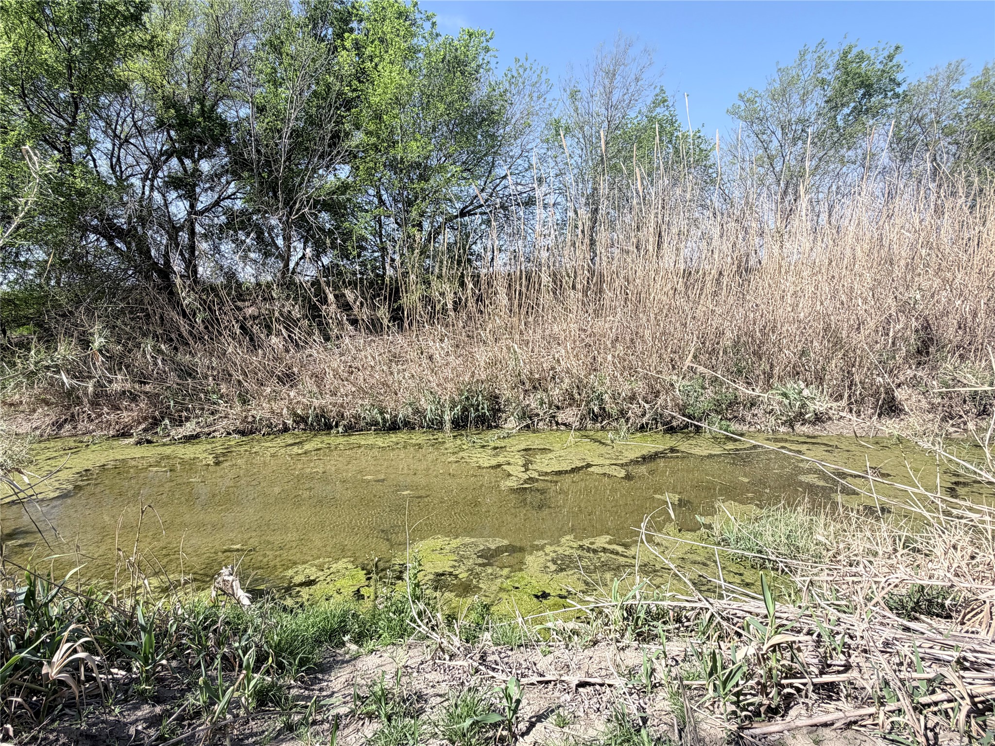 TBD County Road 3204, Abbott, TX, 76621