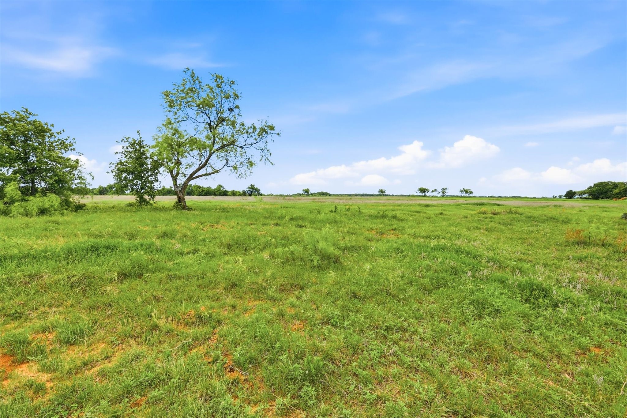 1060 Mustang Ridge, Perrin, TX, 76486