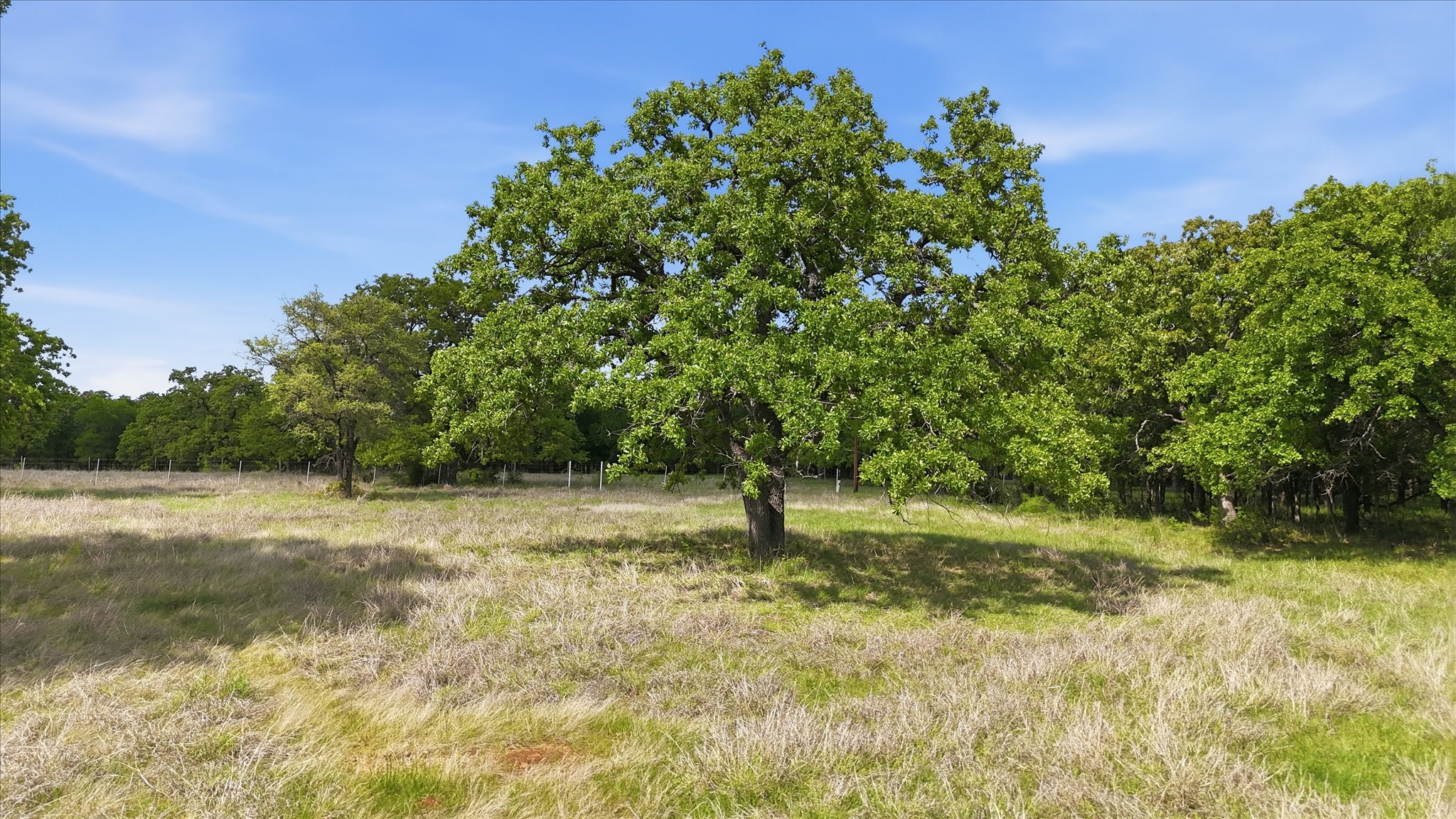 400 River Ranch Road, Aledo, TX, 76008