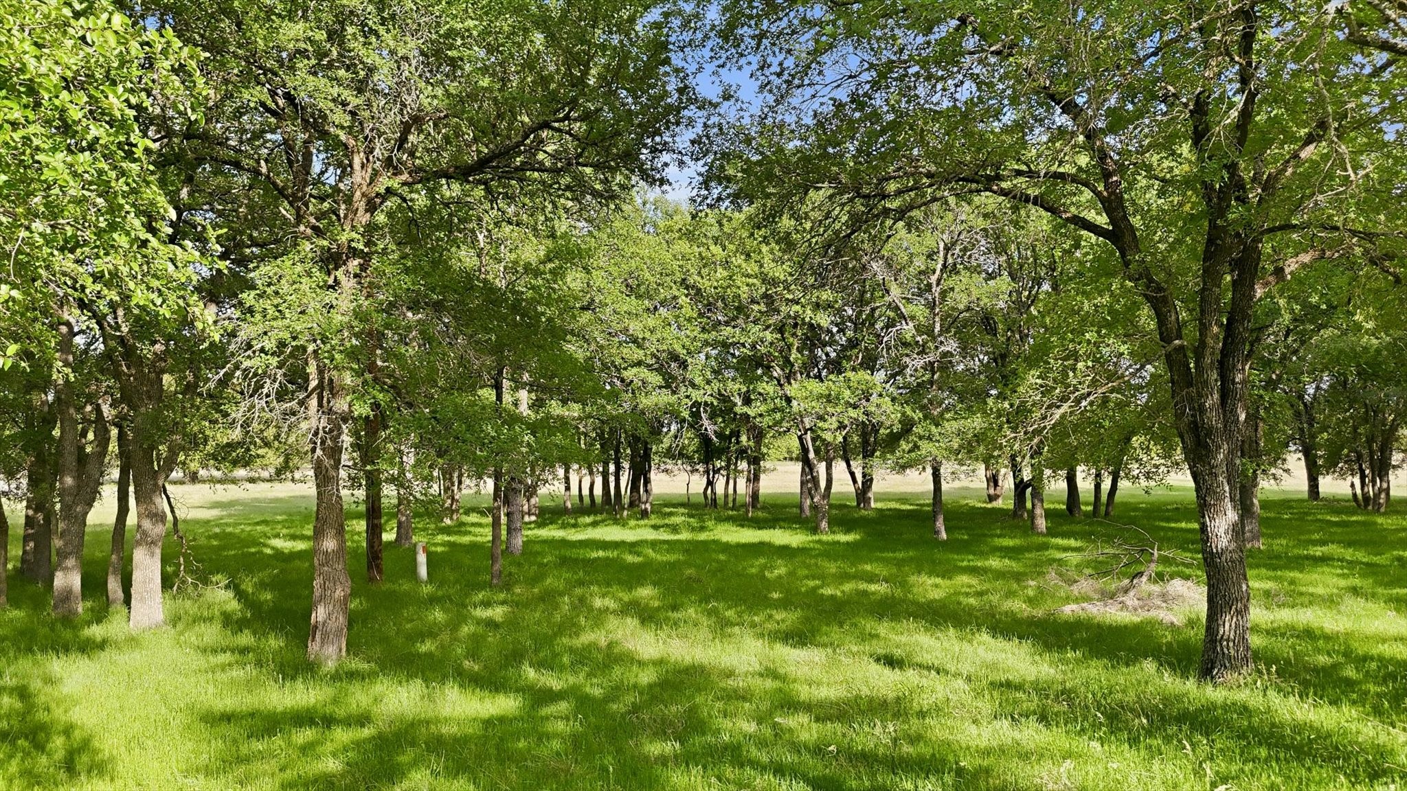 400 River Ranch Road, Aledo, TX, 76008