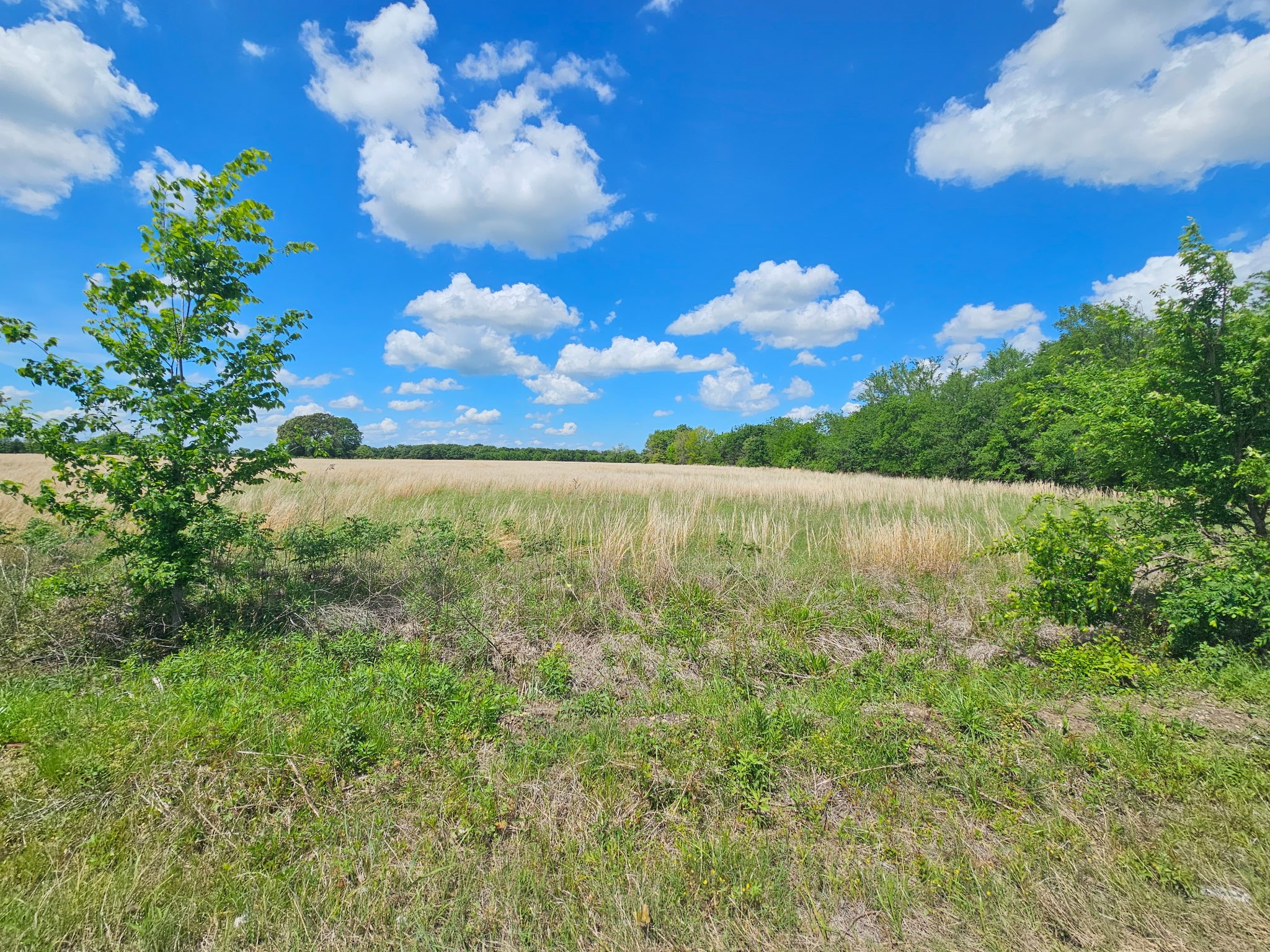 Property photo 01 of Lot 1 CR 3609, Edgewood, TX 75117 | MLS #21234239