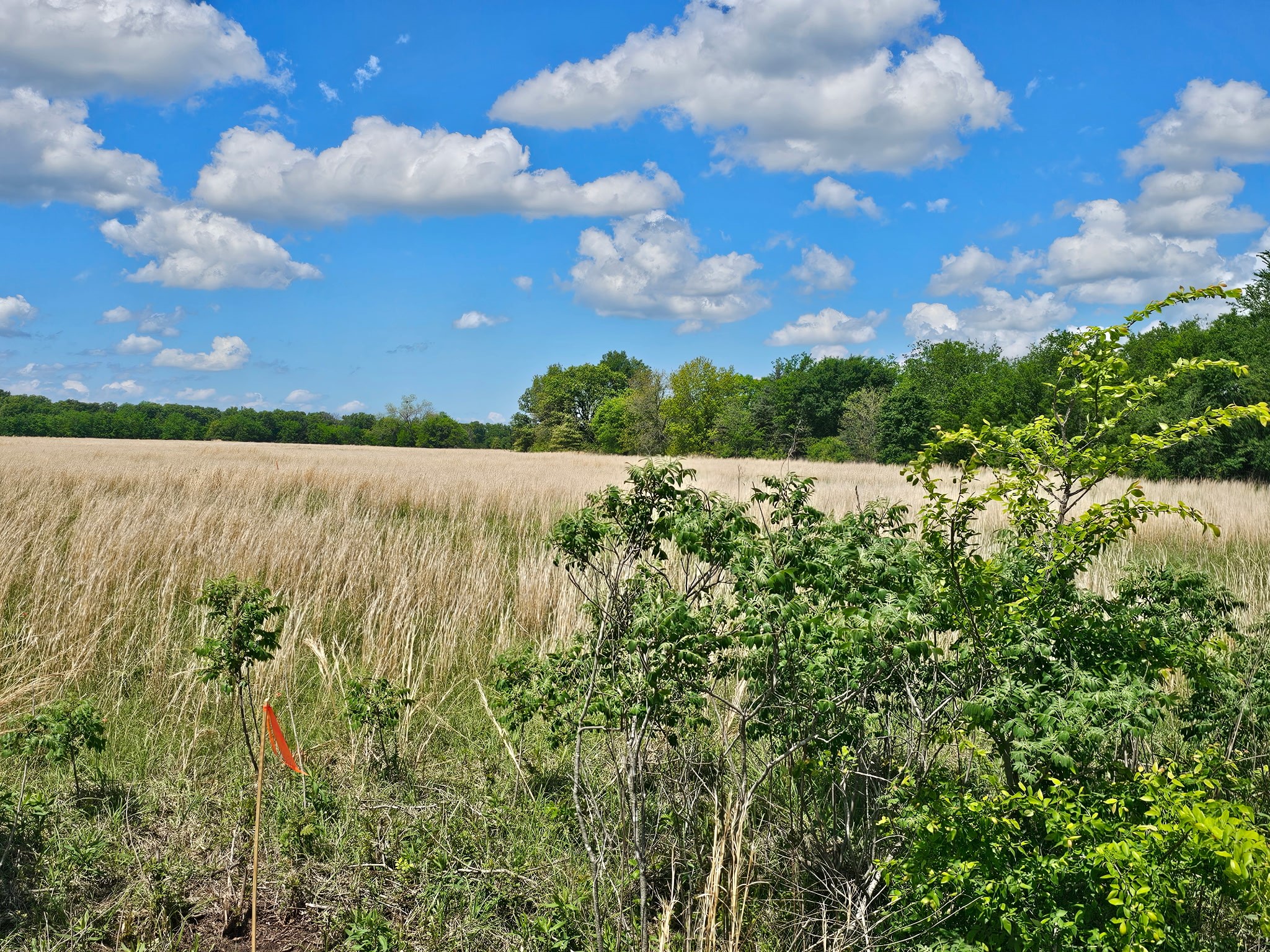 Property photo 03 of Lot 1 CR 3609, Edgewood, TX 75117 | MLS #21234239