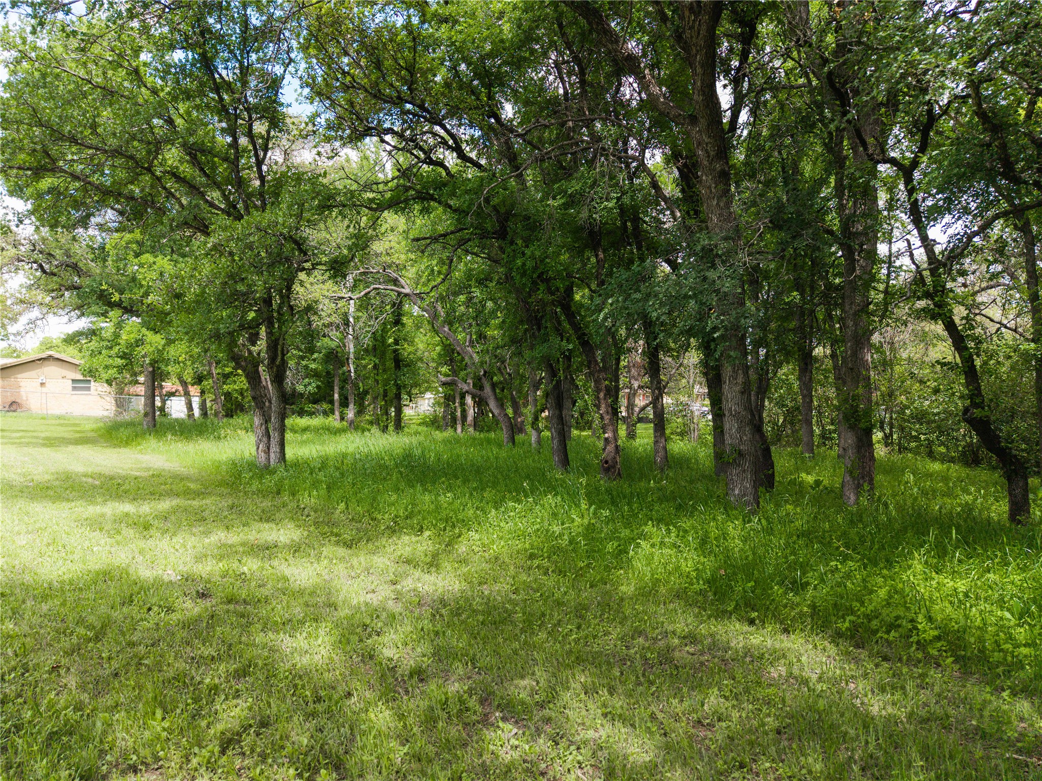 Property photo 04 of 104 Turtle Creek Drive, Early, TX 76802 | MLS #21234405