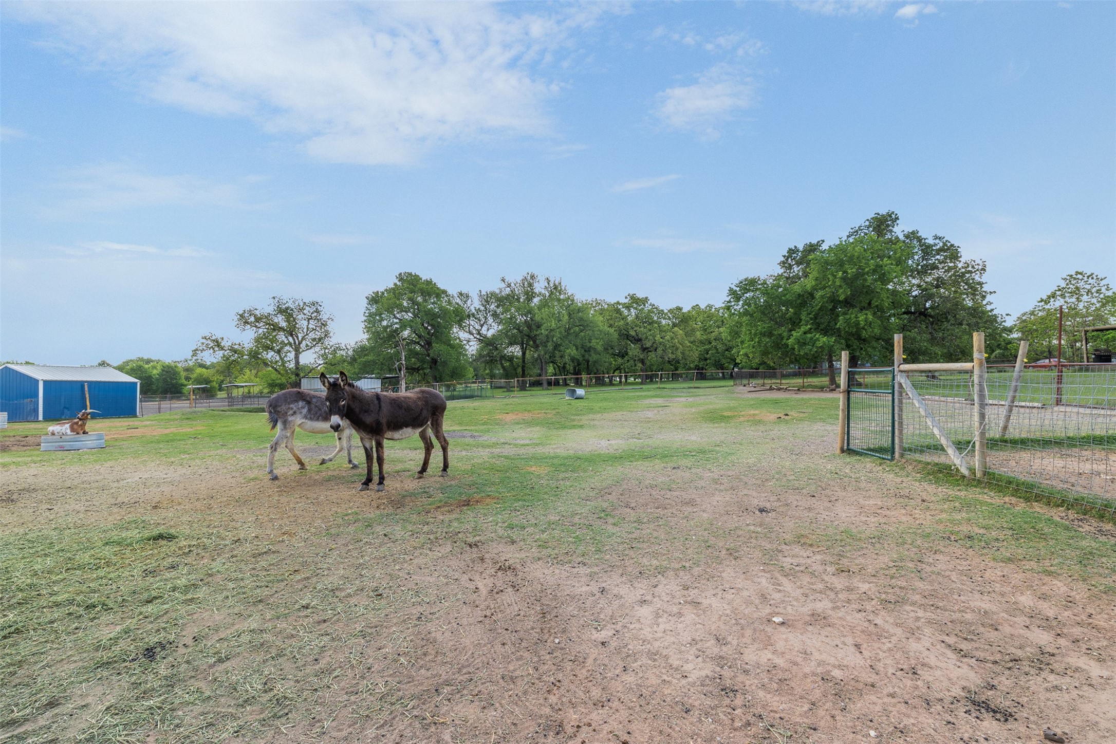 203 Saffle Road, Robinson, TX, 76706