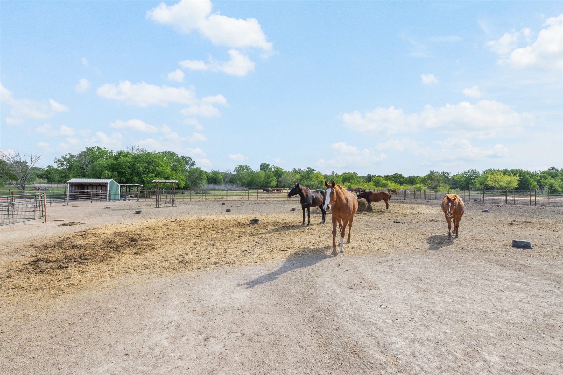 203 Saffle Road, Robinson, TX, 76706