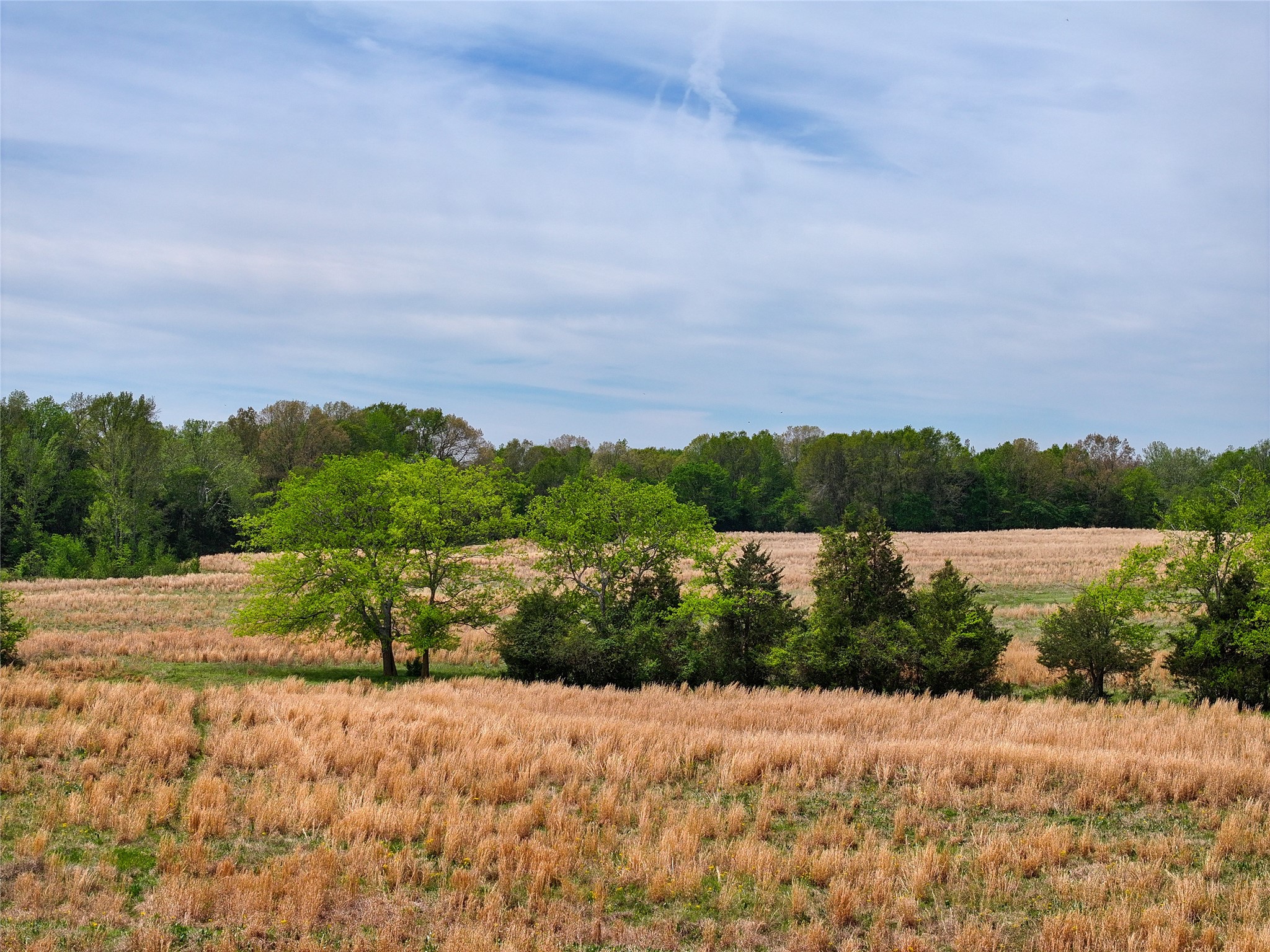 0 County Road 4249, De Kalb, TX, 75559