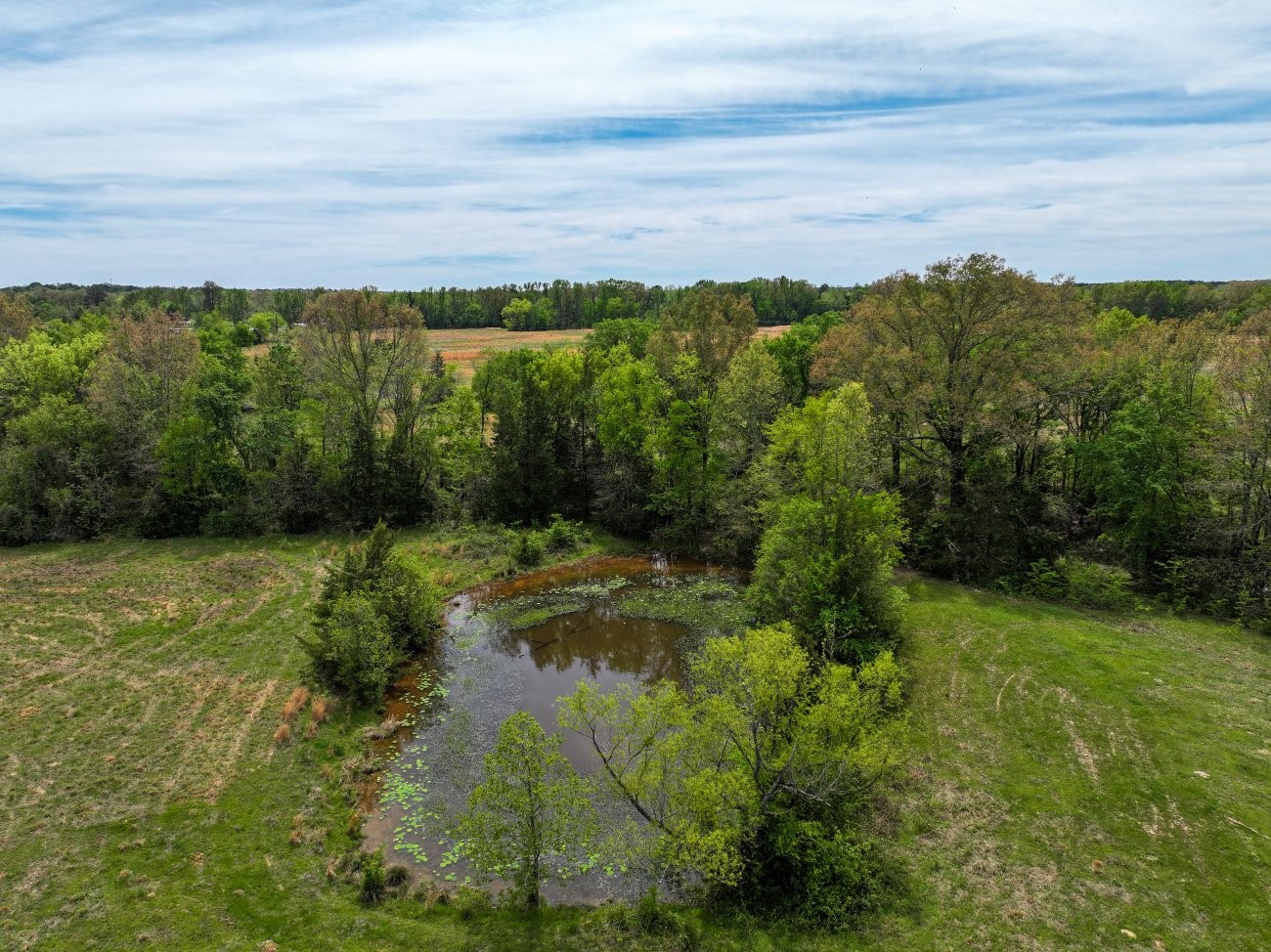 0 County Road 4249, De Kalb, TX, 75559