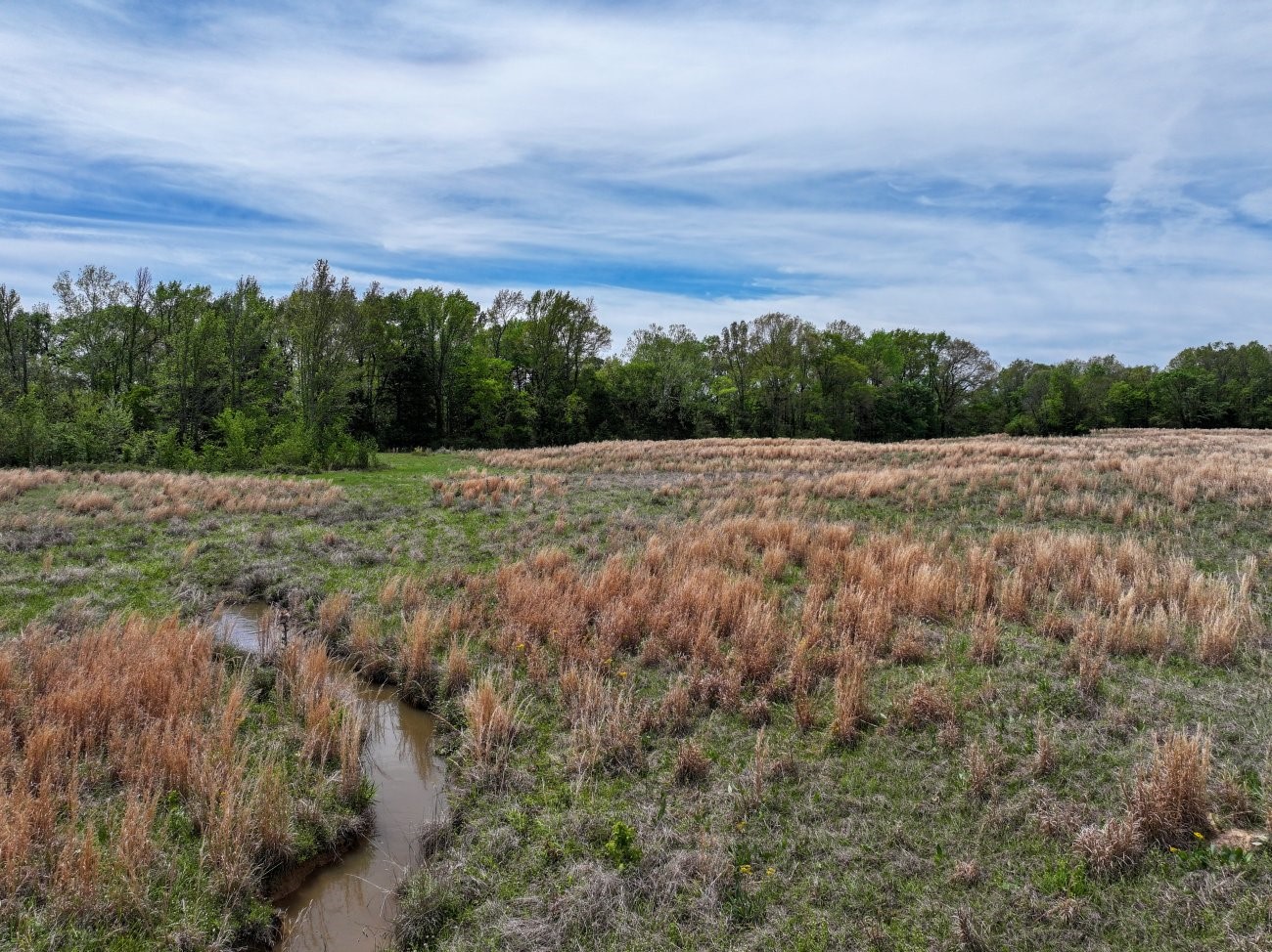 0 County Road 4249, De Kalb, TX, 75559
