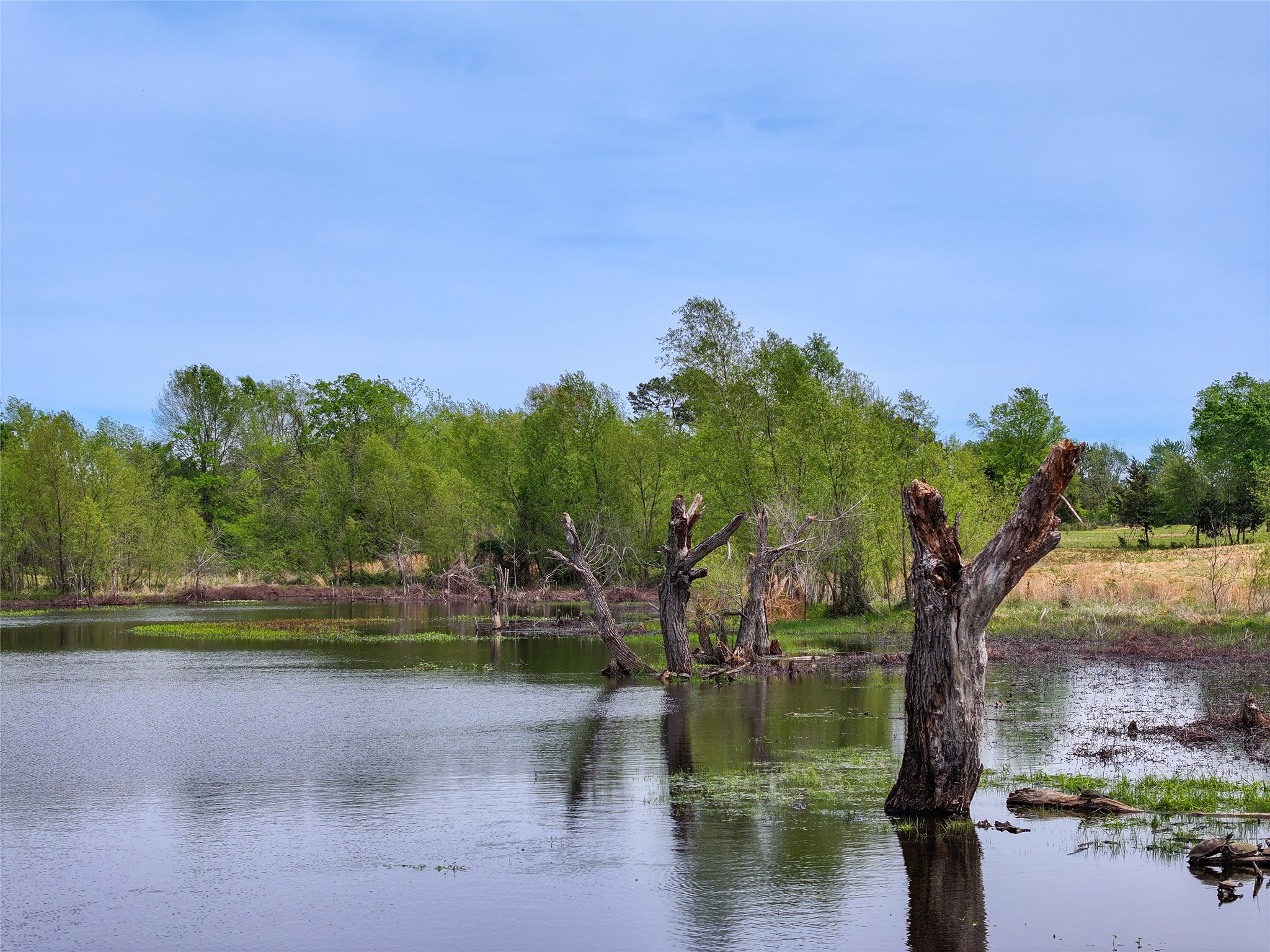 0 County Road 4249, De Kalb, TX, 75559