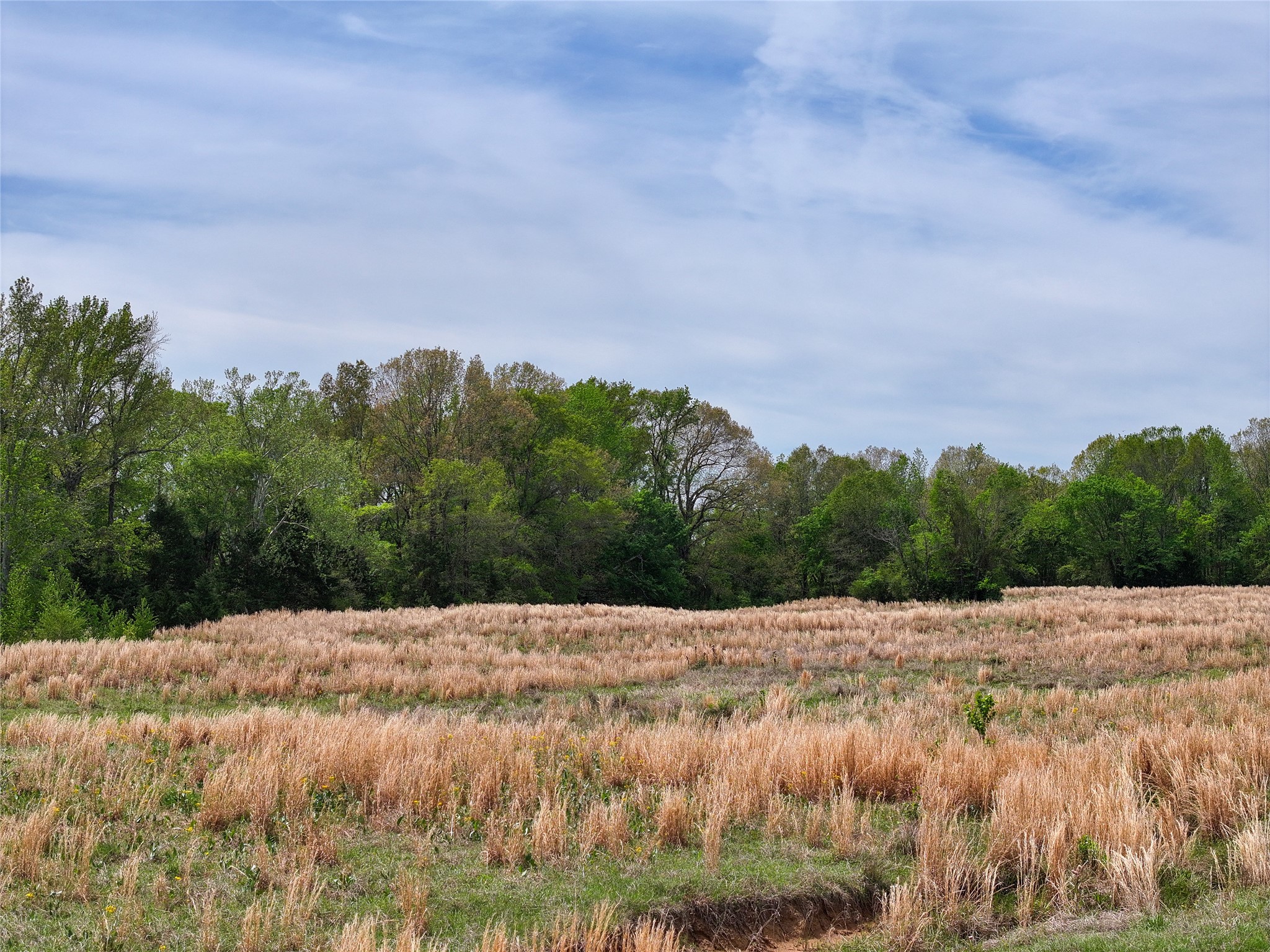 0 County Road 4249, De Kalb, TX, 75559
