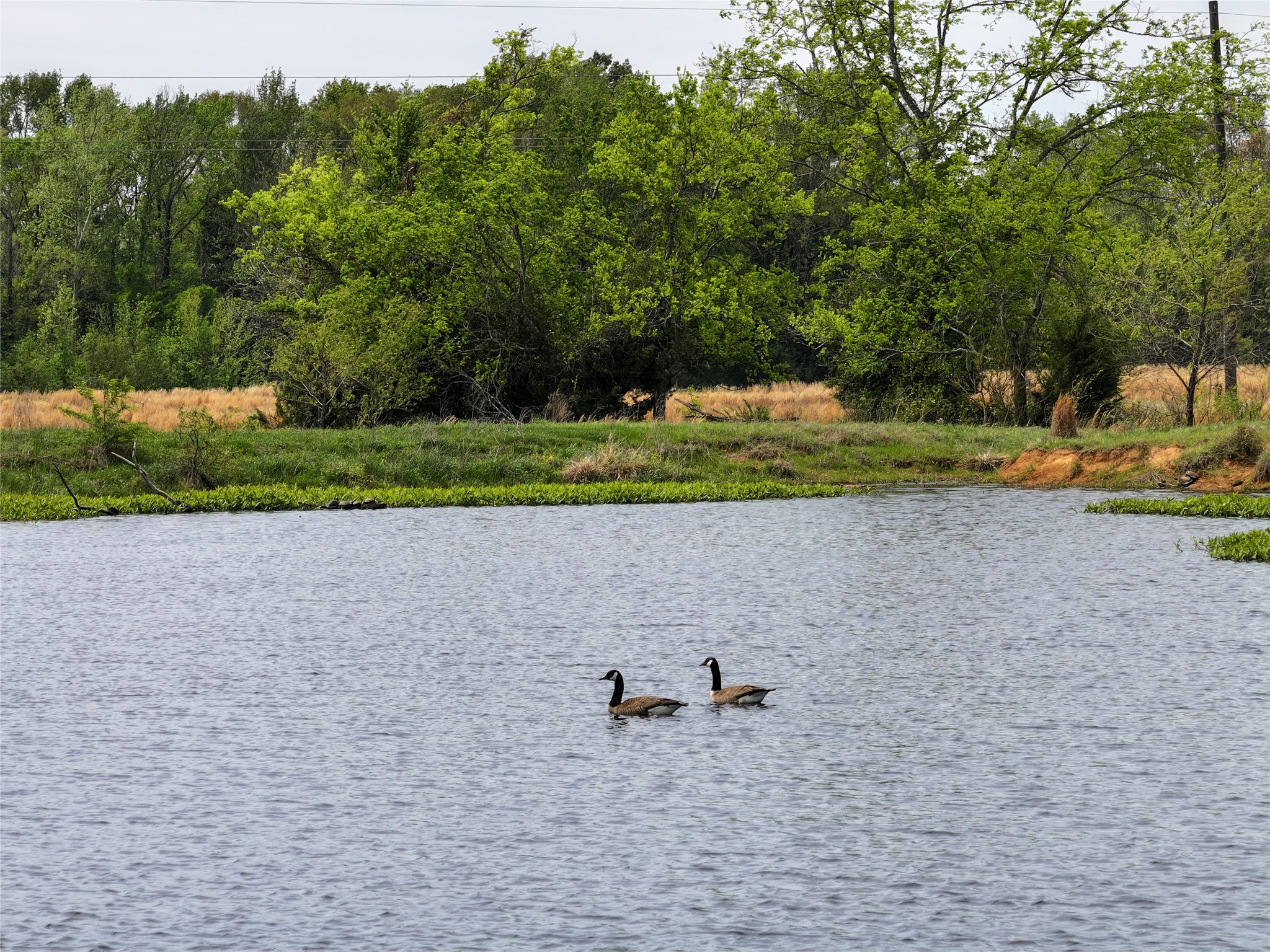 0 County Road 4249, De Kalb, TX, 75559