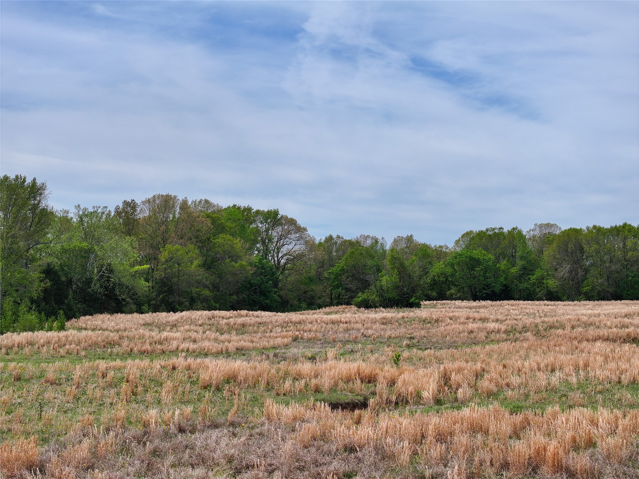 0 County Road 4249, De Kalb, TX, 75559