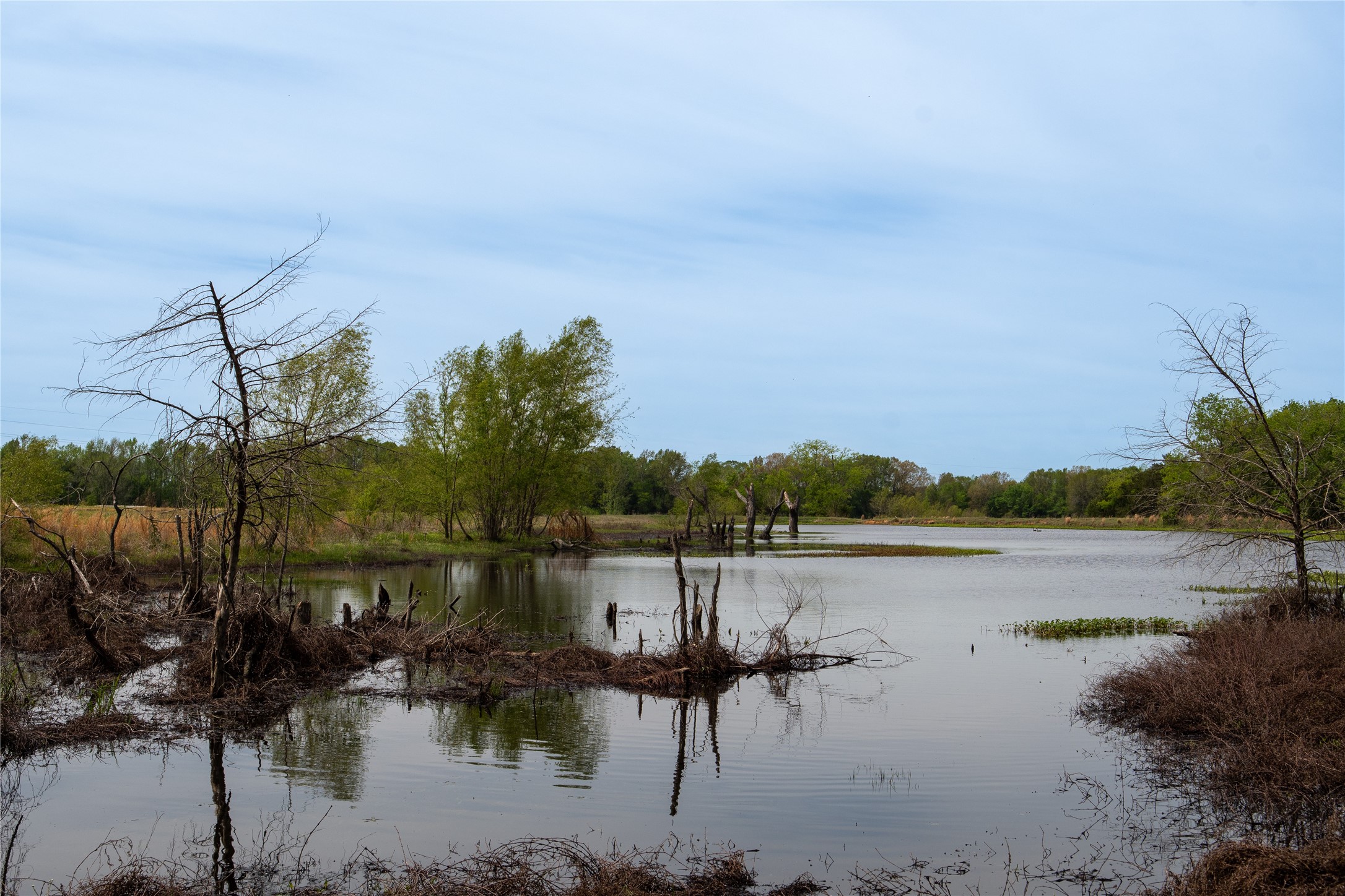 0 County Road 4249, De Kalb, TX, 75559