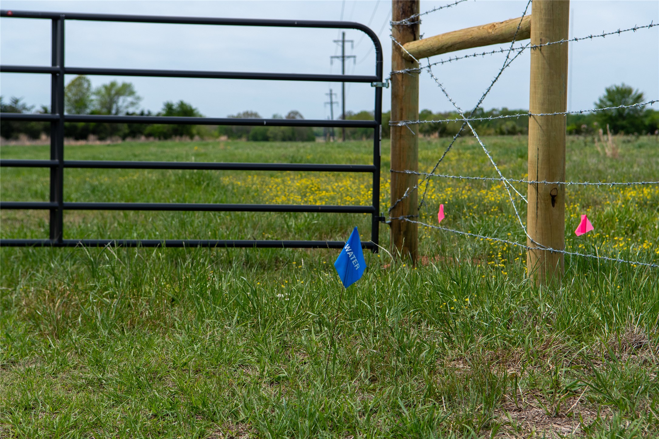 0 County Road 4249, De Kalb, TX, 75559