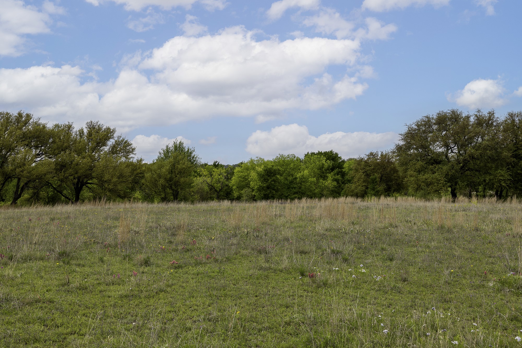 Property photo 03 of 000 Mason Court, Dublin, TX 76446 | MLS #21234507