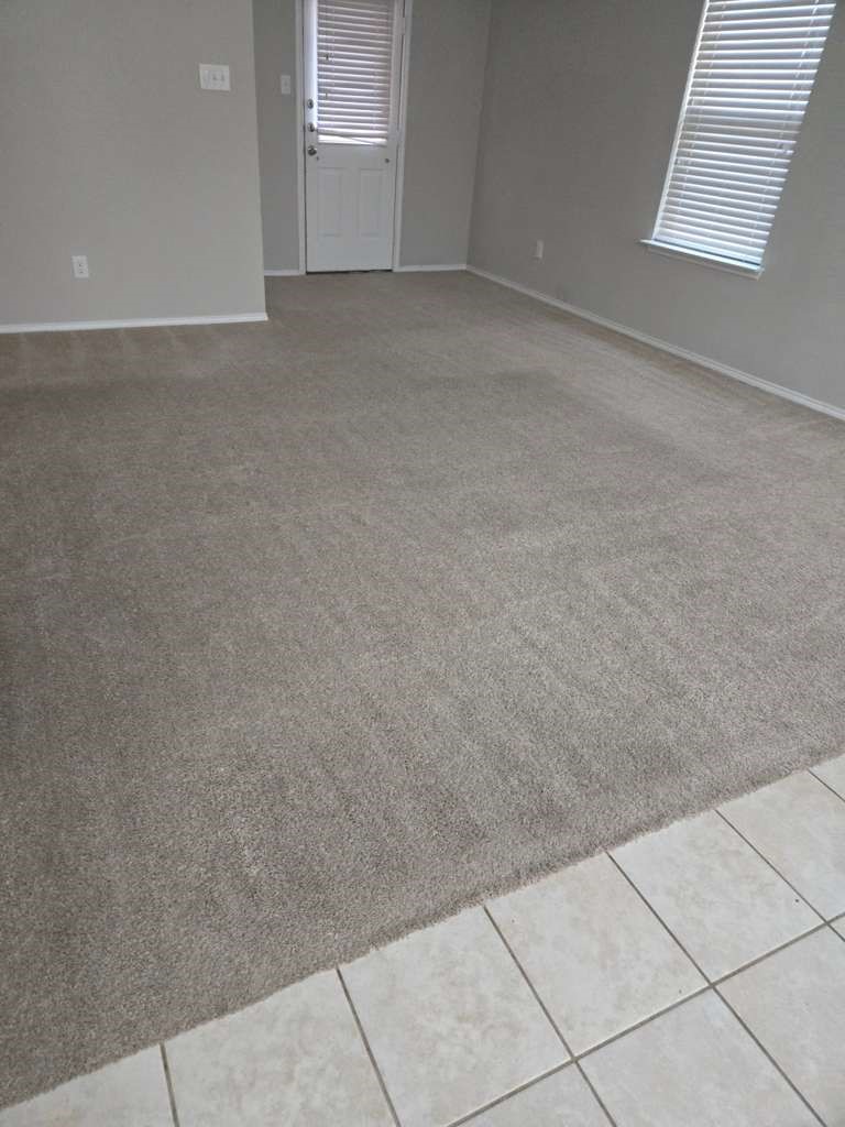 2544 Saldana Drive, Fate, TX, 75189