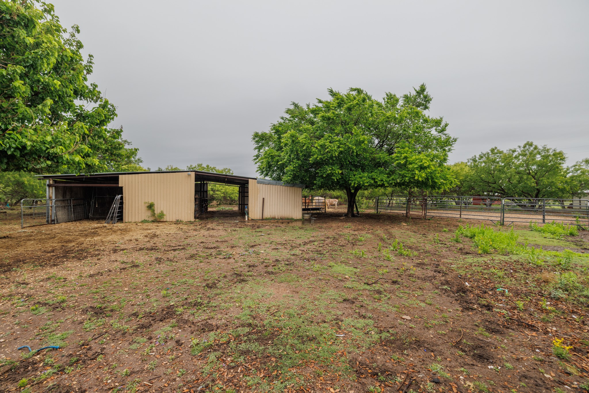 636 Clark Road, Abilene, TX, 79602