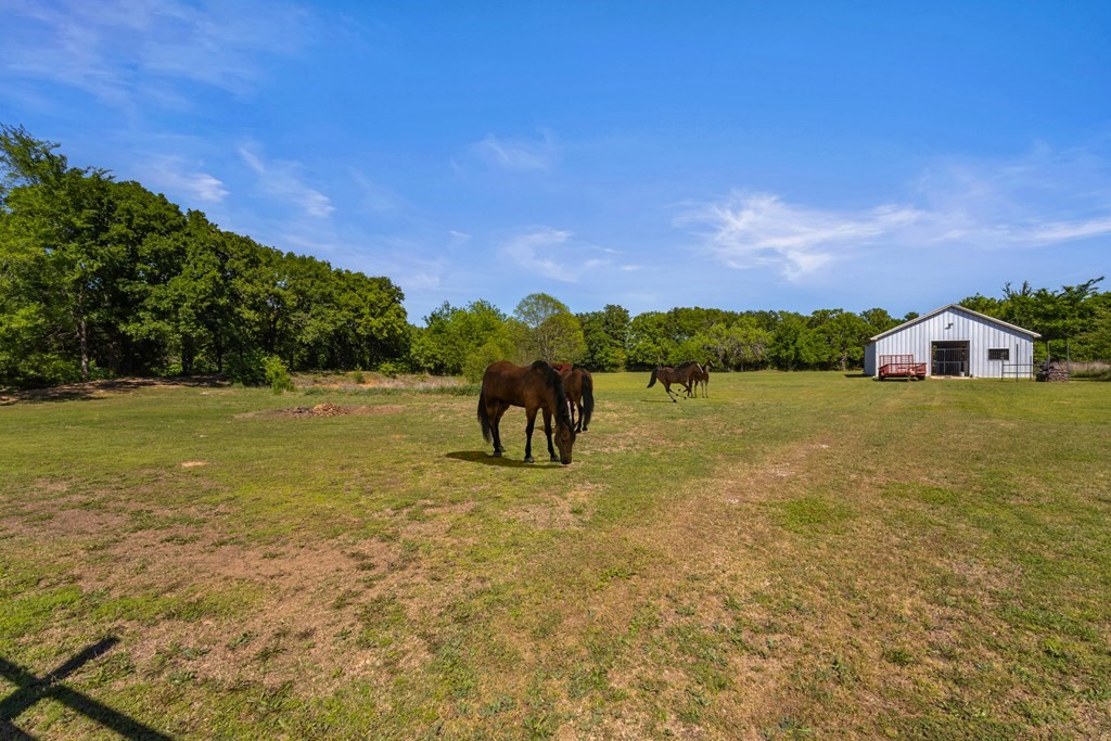 17909 Terrace Drive, Kemp, TX, 75143