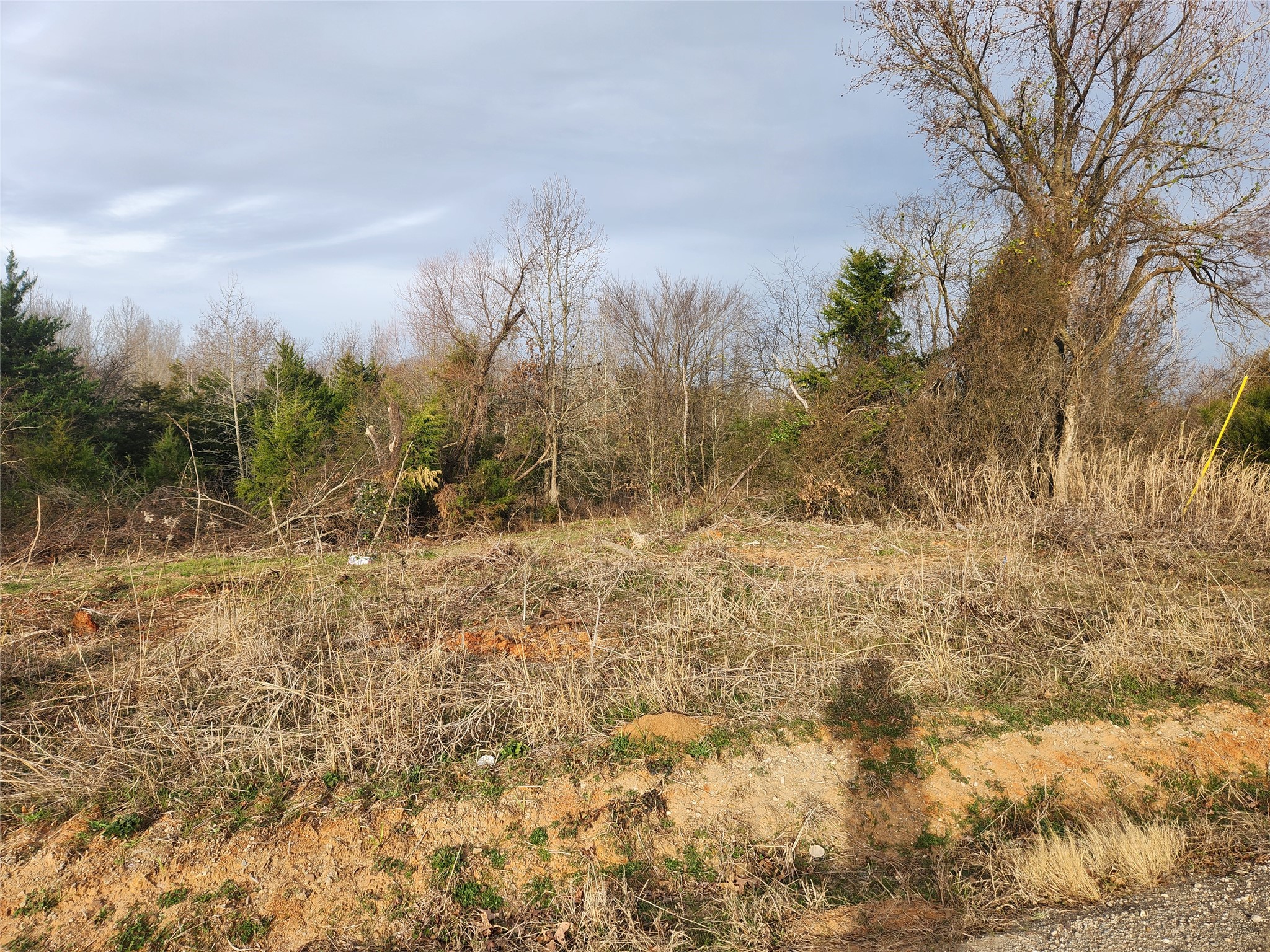 Property photo 01 of Lot 6 CR 2341 Sulphur, Springs, TX 75482 | MLS #21236011
