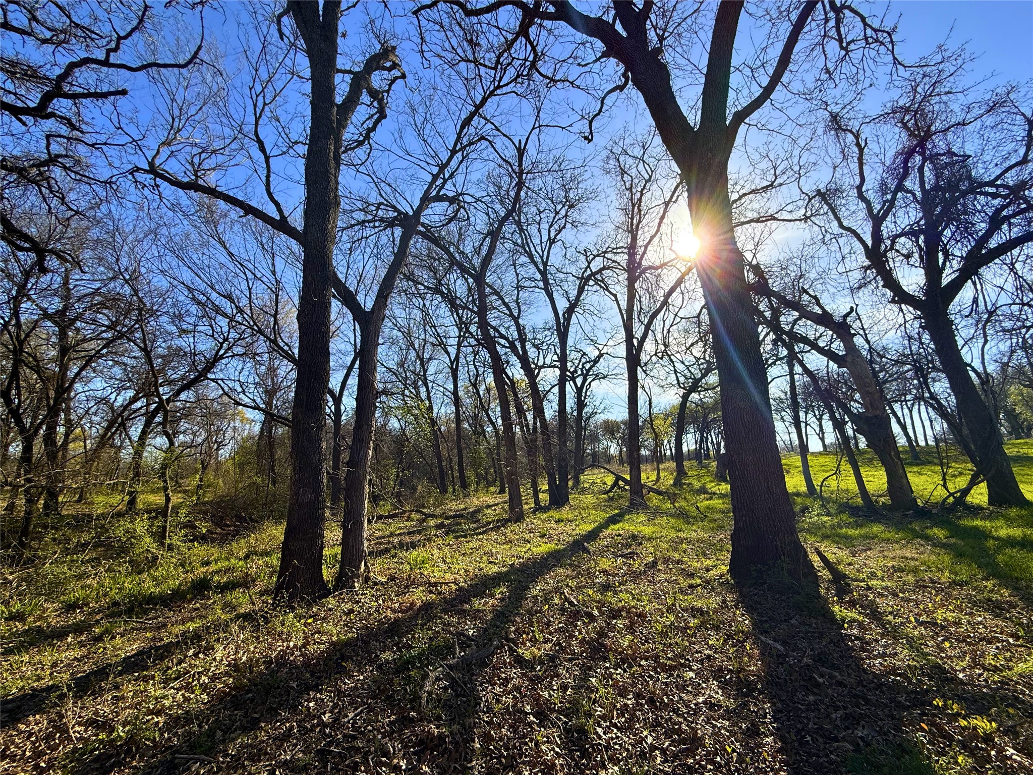 2196 Old Agnes Road, Weatherford, TX, 76088