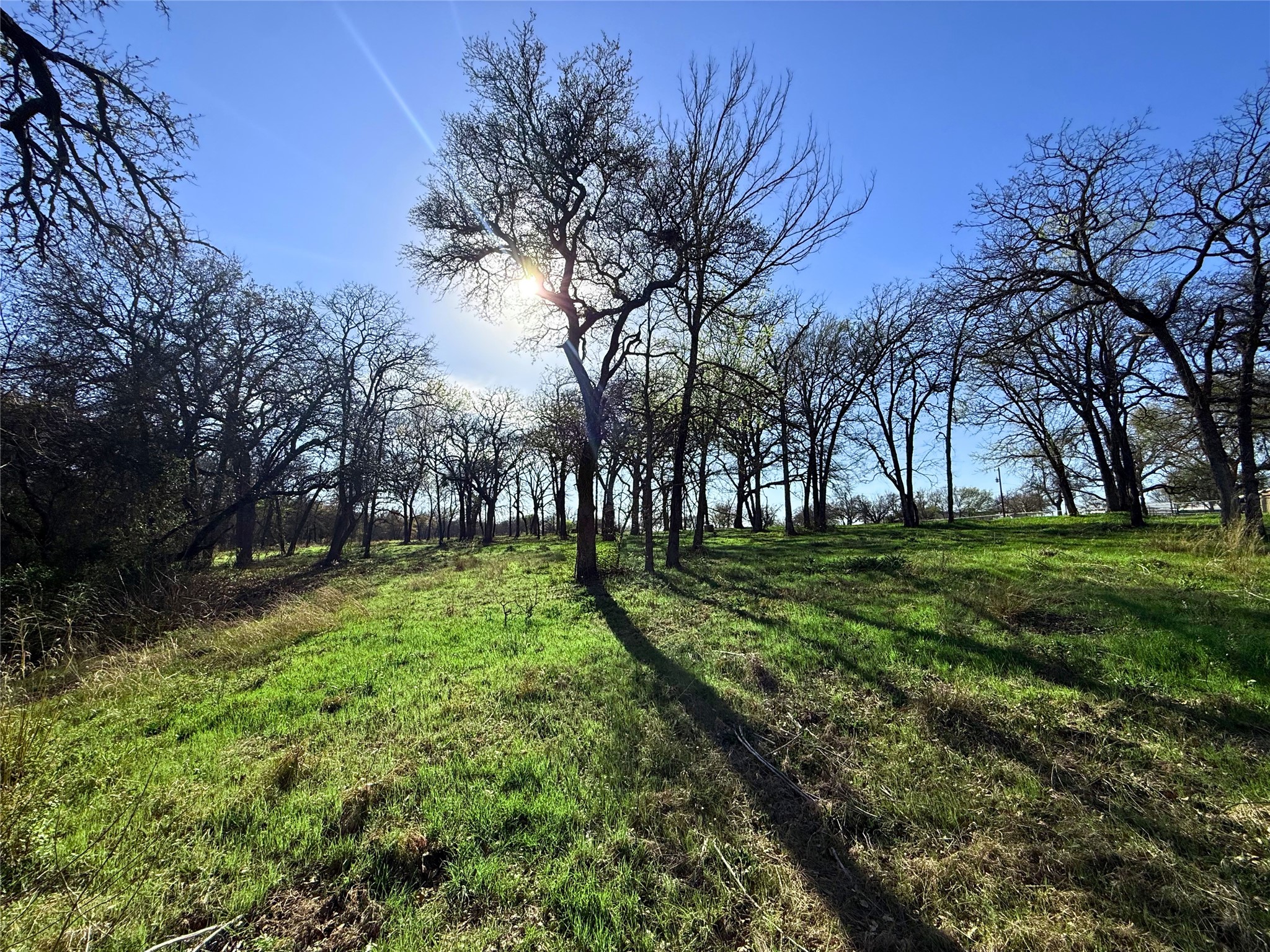 2196 Old Agnes Road, Weatherford, TX, 76088