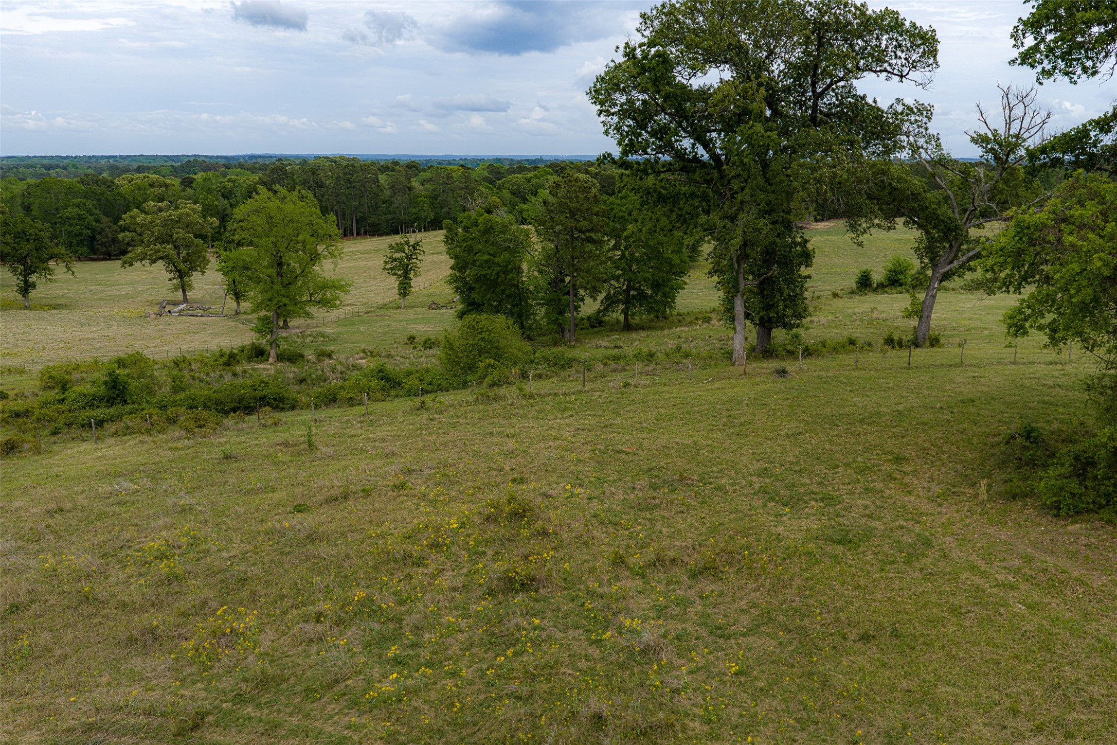 00 Tract 1 CR 1615, Jacksonville, TX, 75766