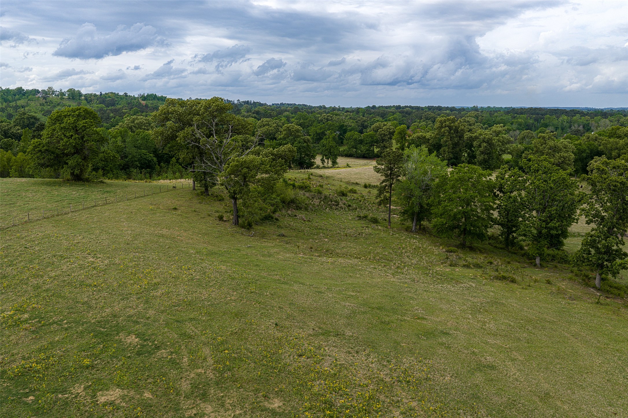00 Tract 1 CR 1615, Jacksonville, TX, 75766