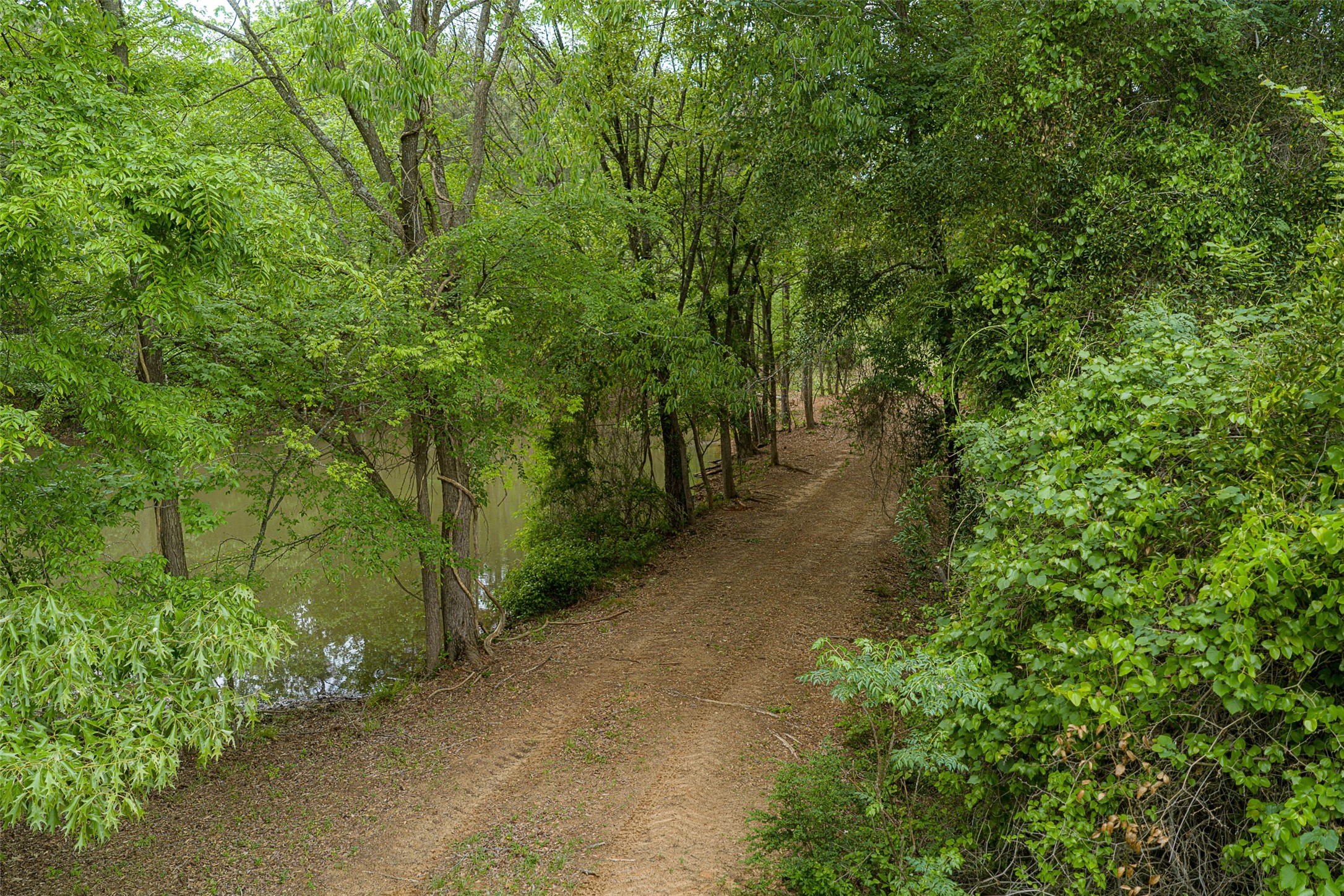 00 Tract 1 CR 1615, Jacksonville, TX, 75766